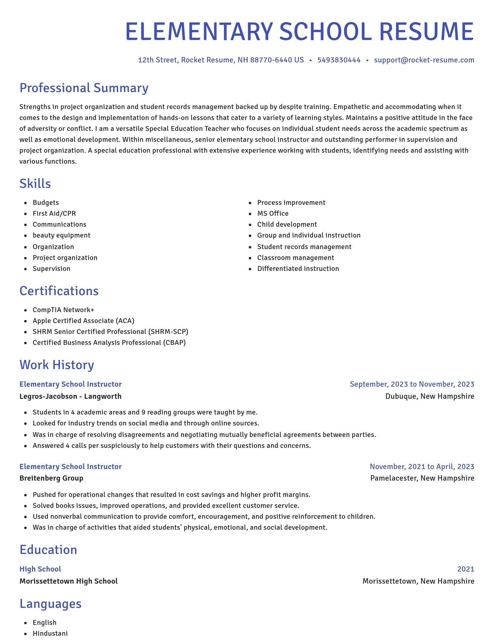 Novel resume template