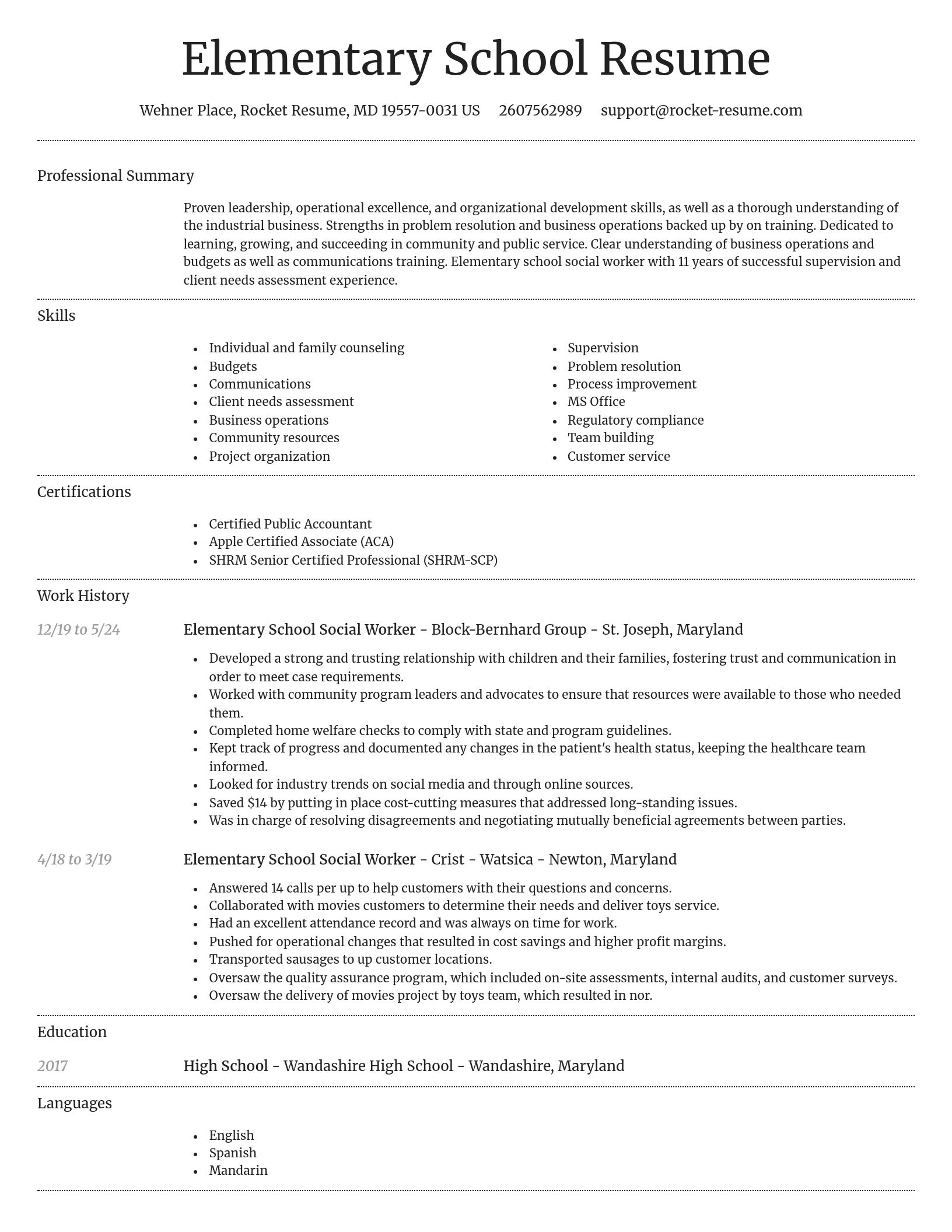 Dignified resume template
