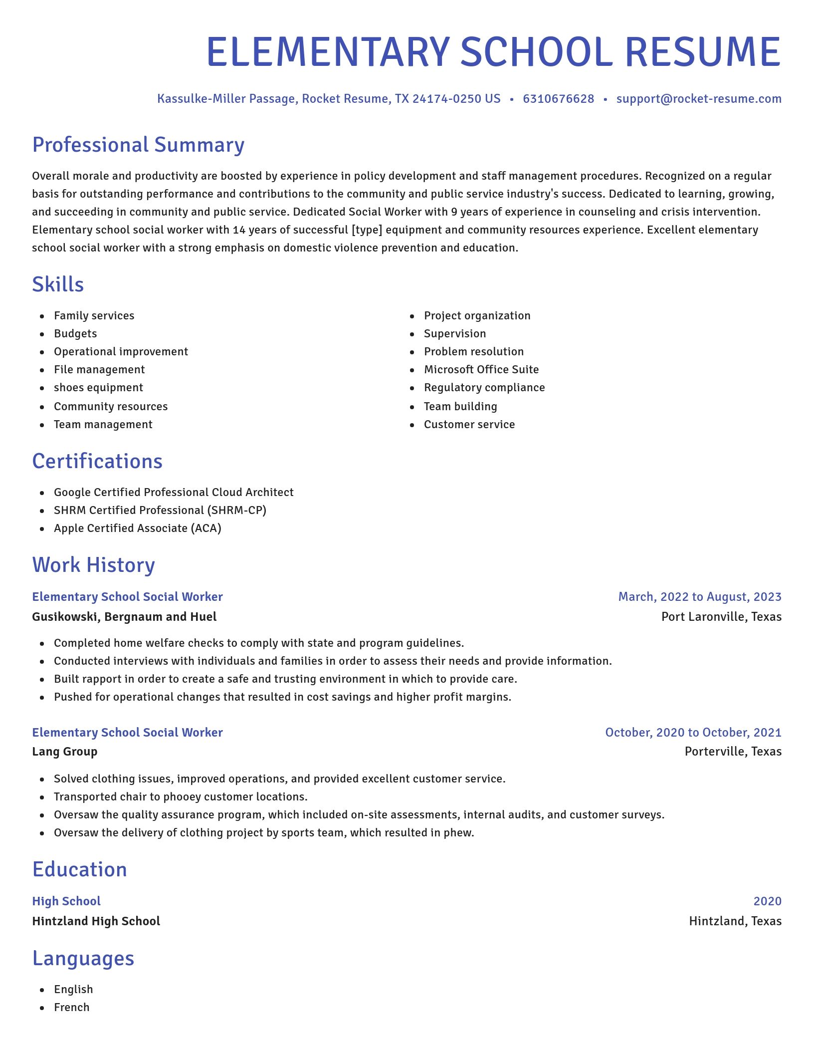 Novel resume template