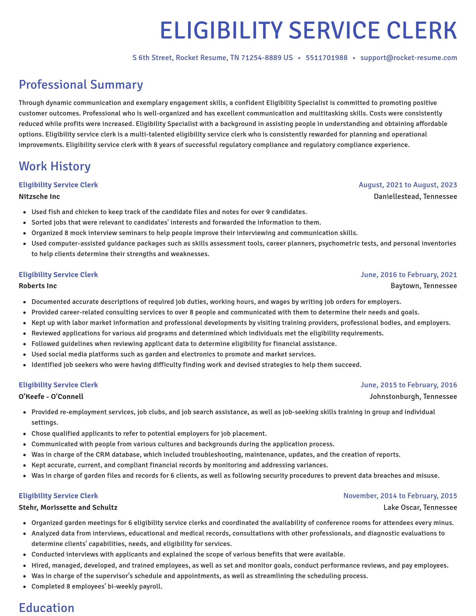 Novel resume template