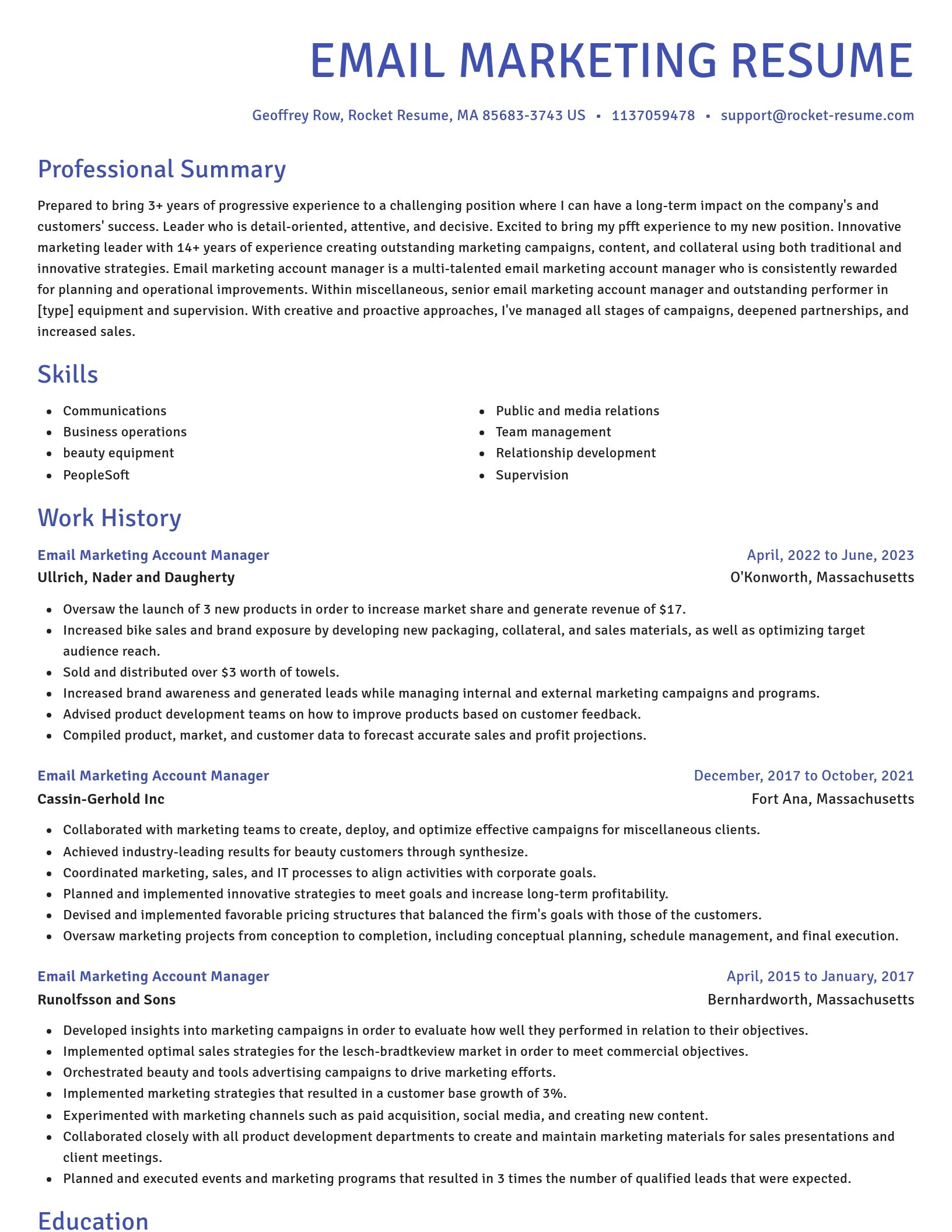 Novel resume template