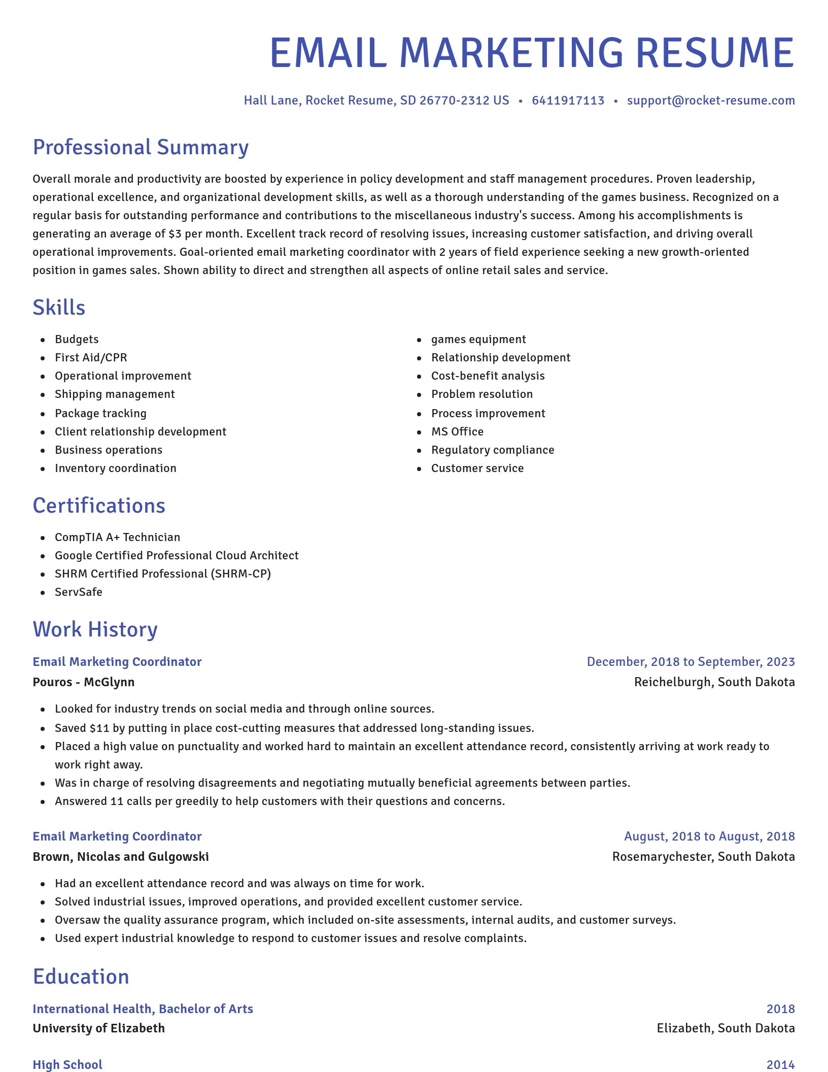 Novel resume template
