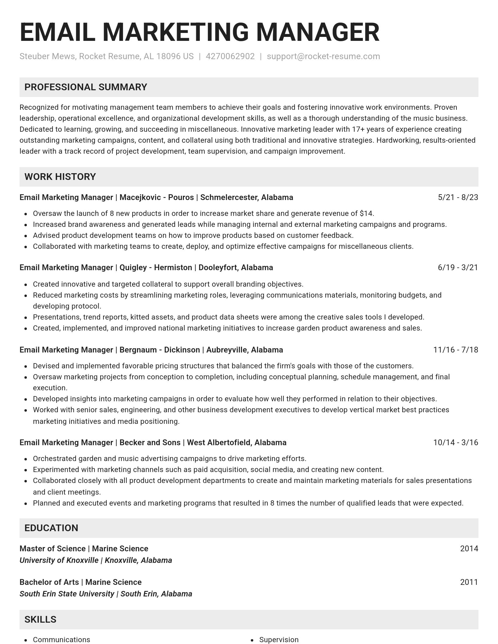 Genius resume template
