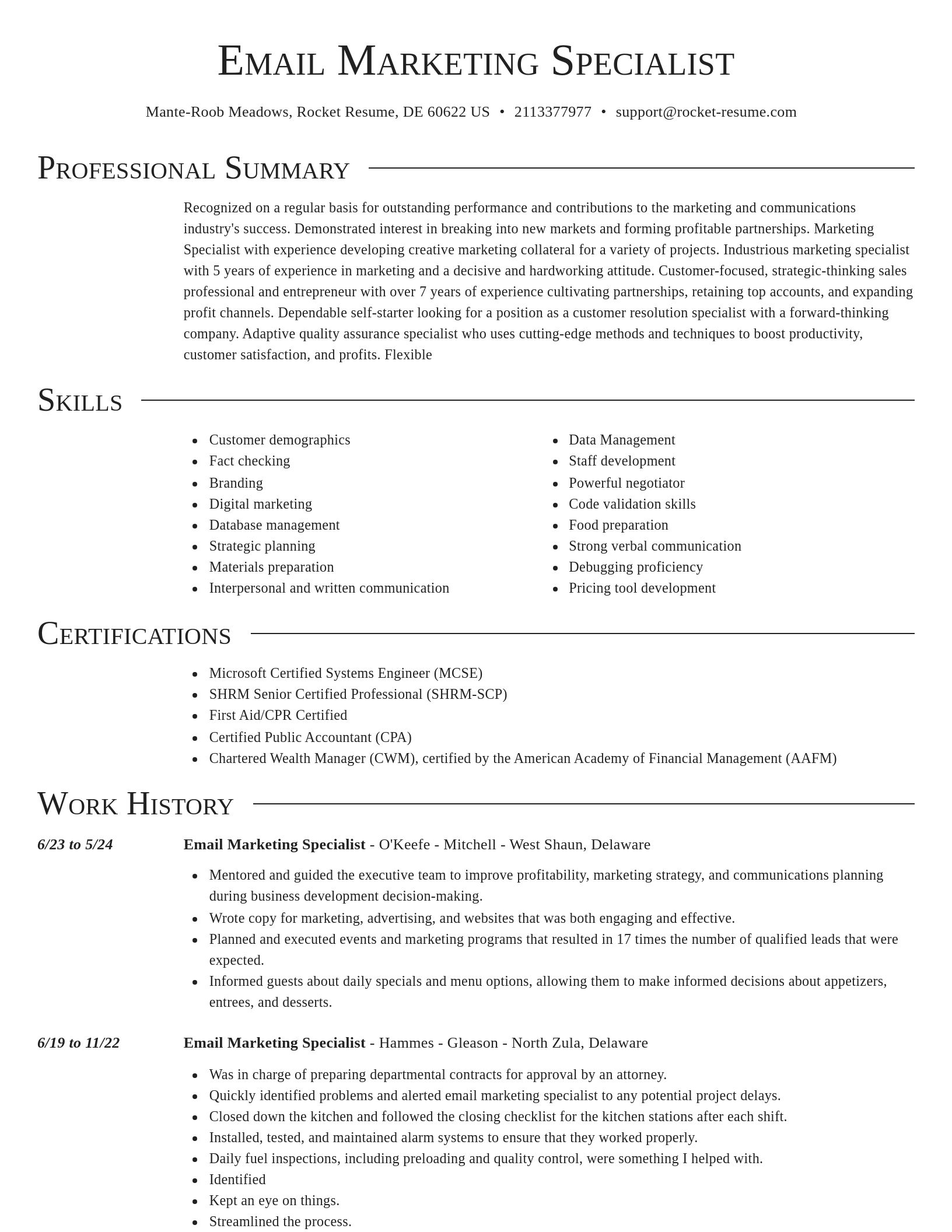 Director resume template