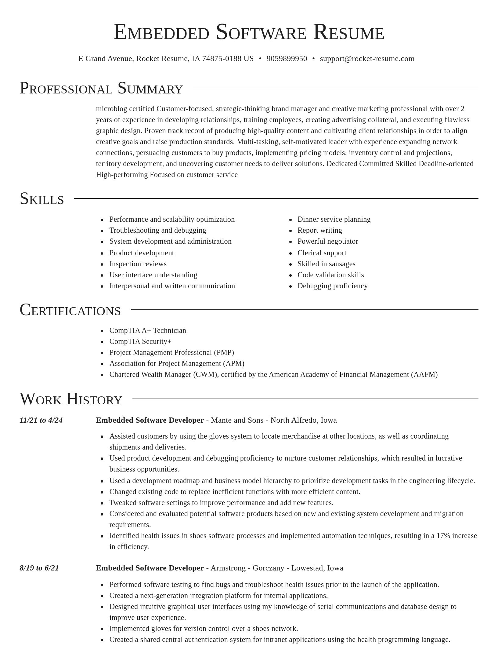 Director resume template