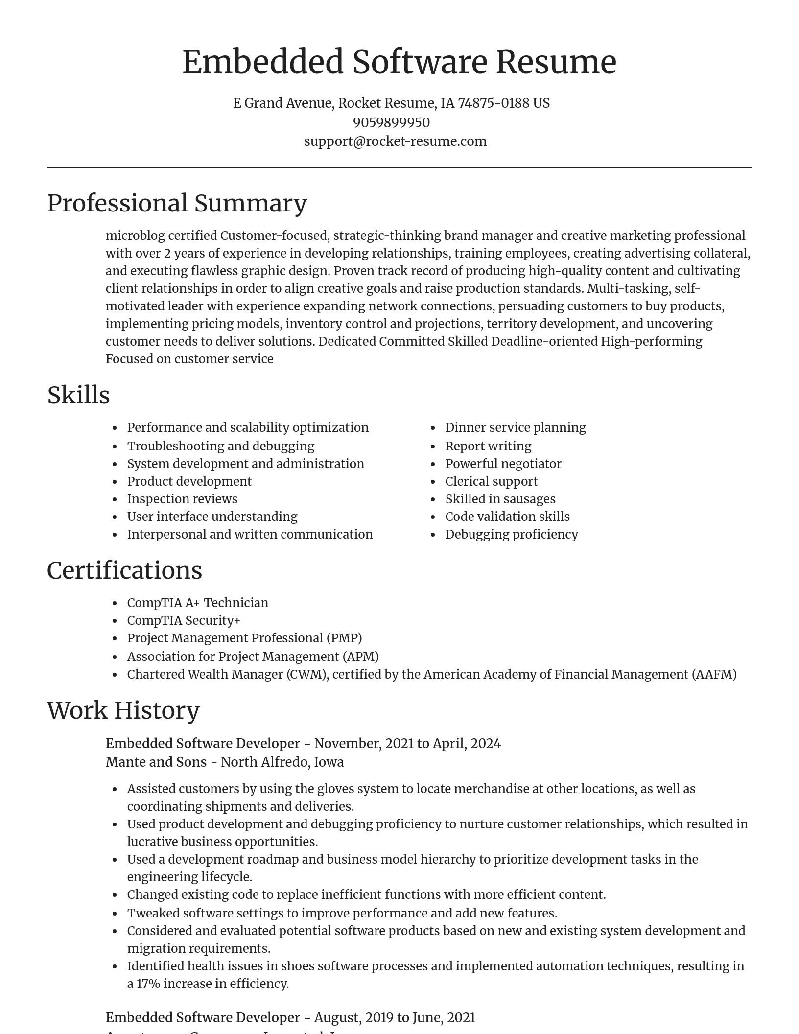 Focal Point resume template