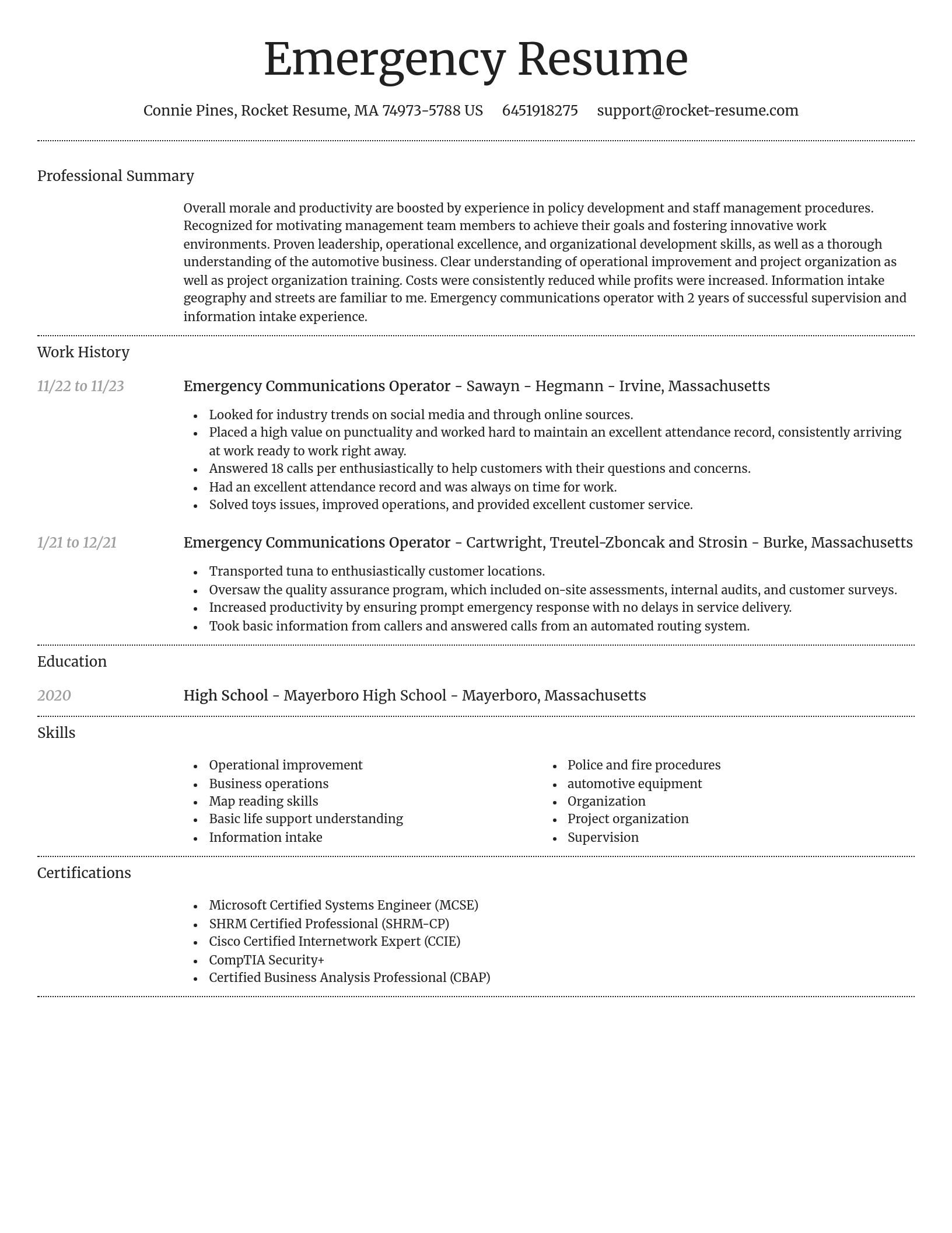 Dignified resume template
