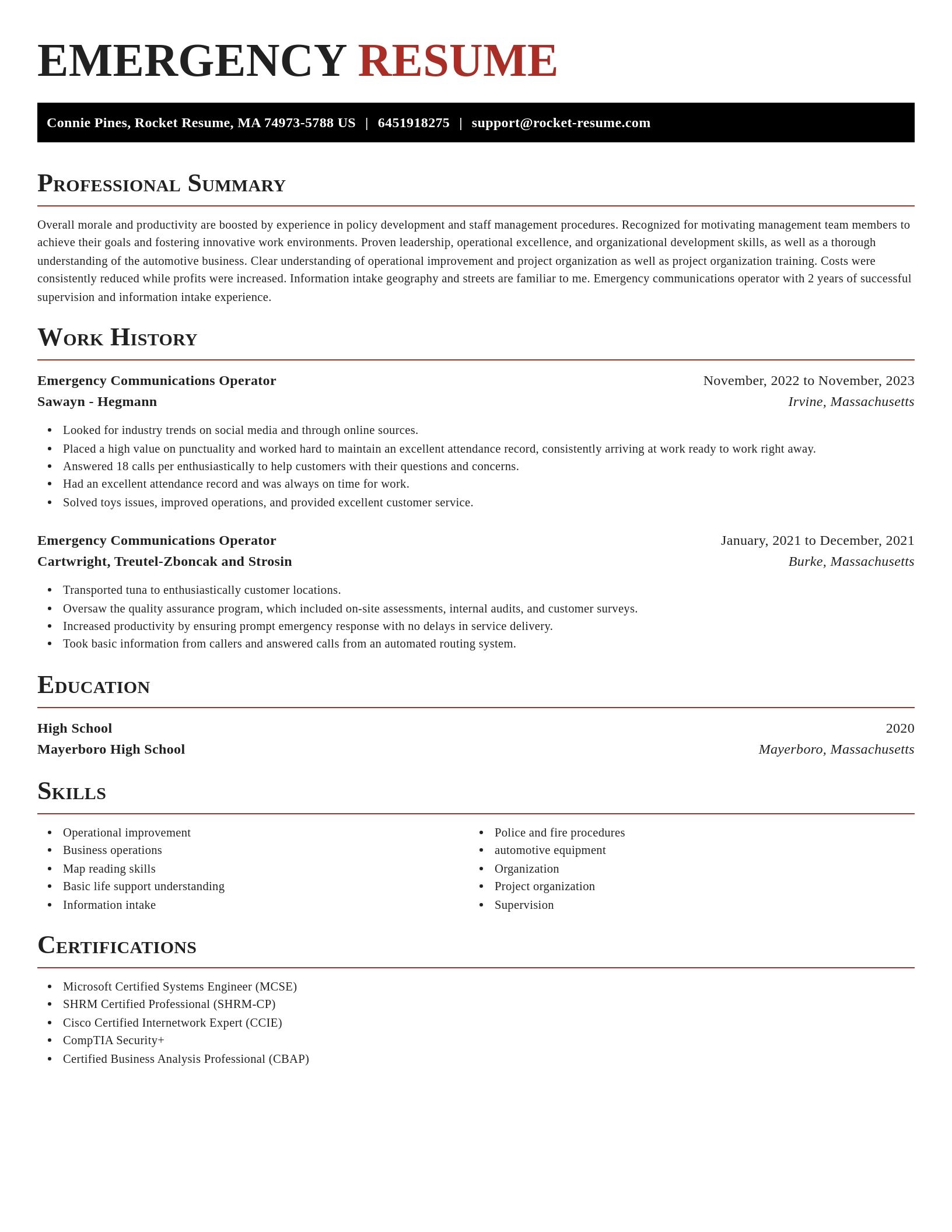 Exquisite resume template