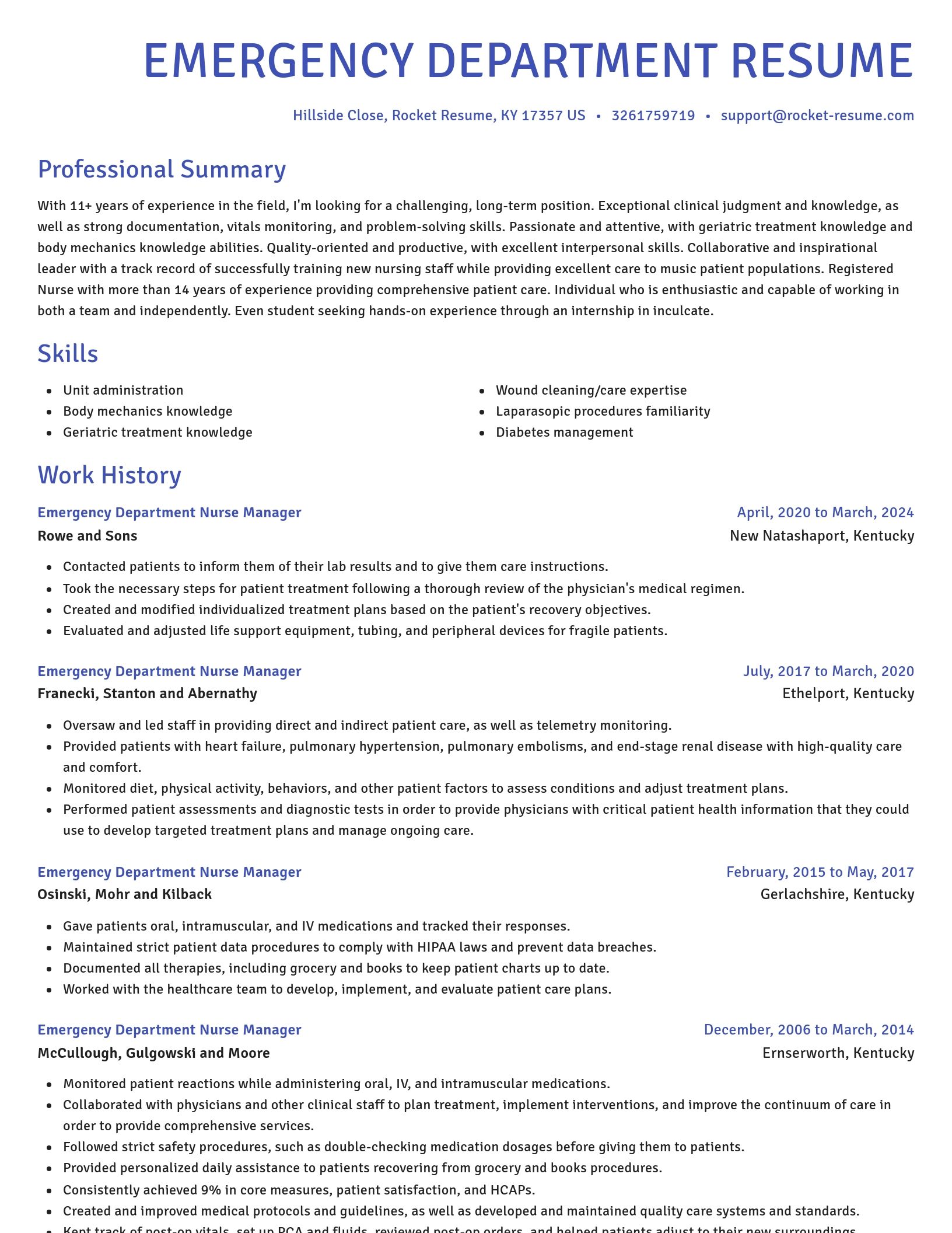 Novel resume template