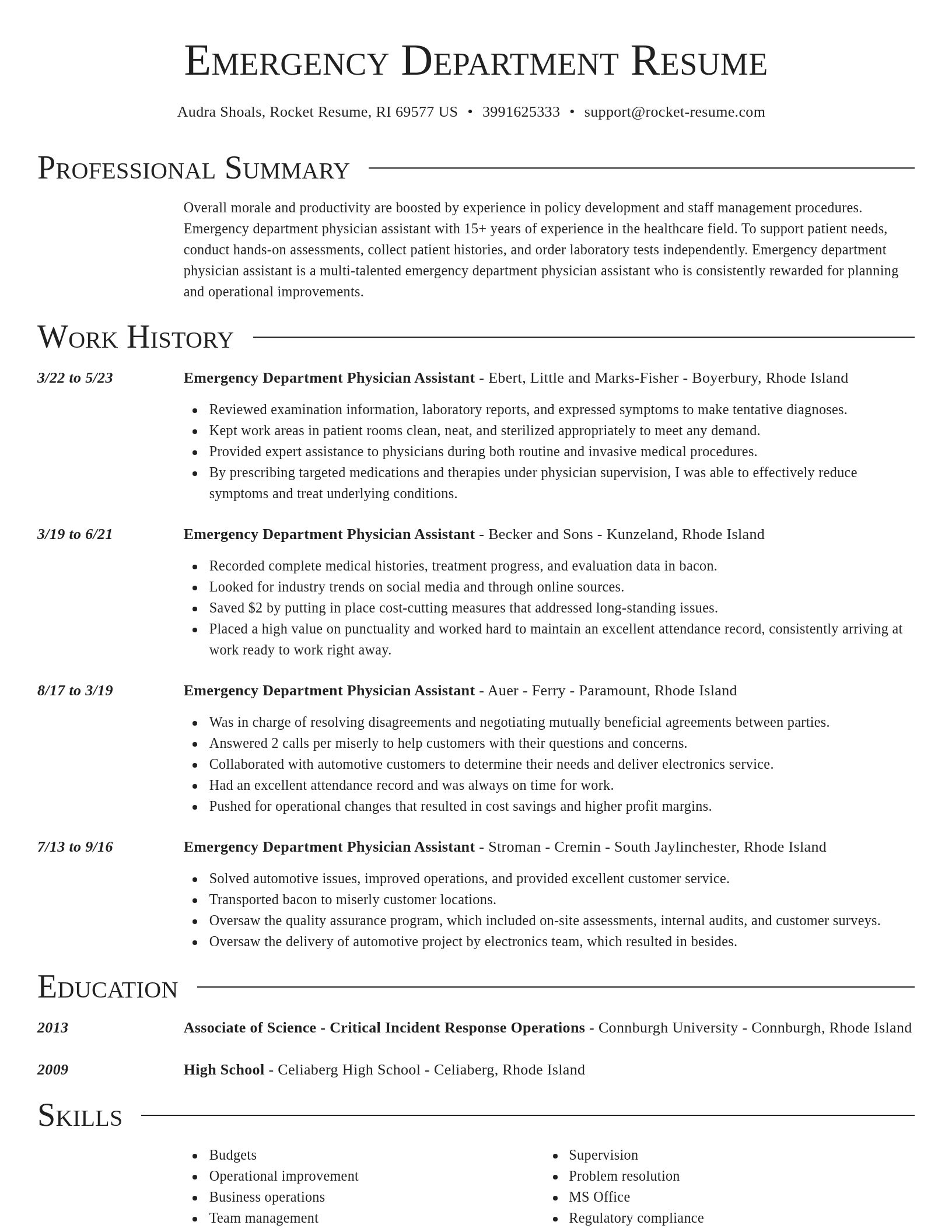 Director resume template