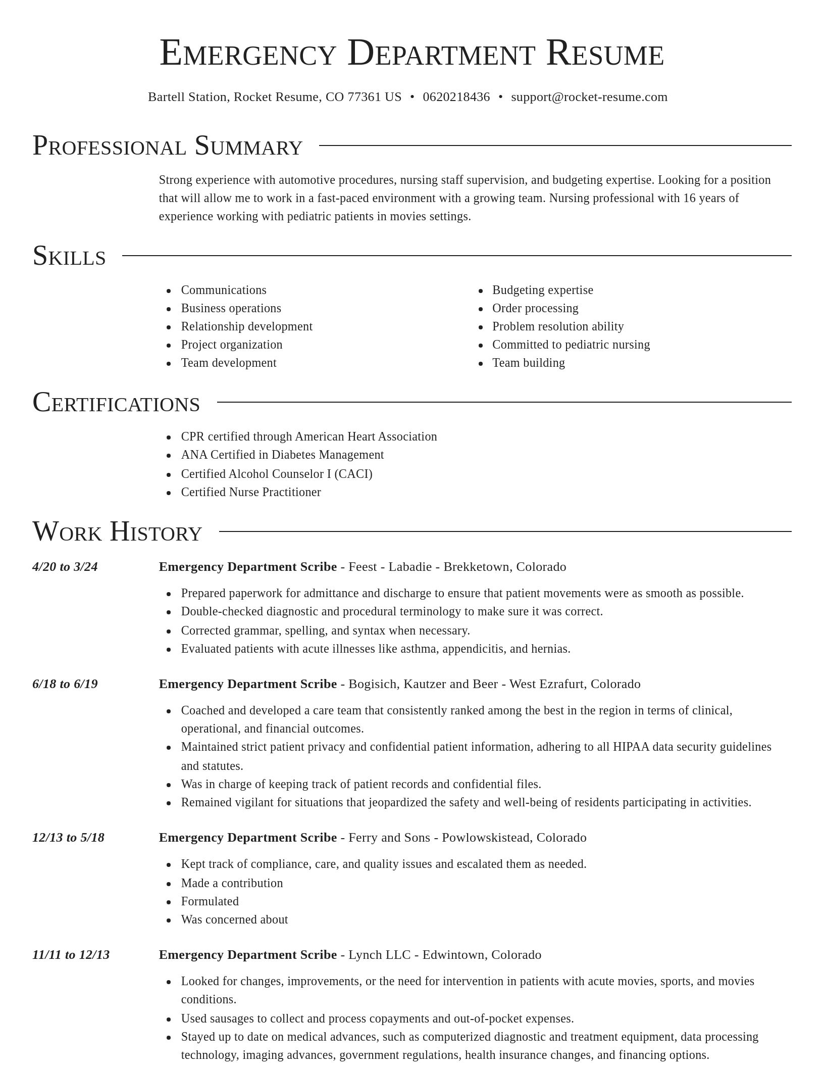 Director resume template