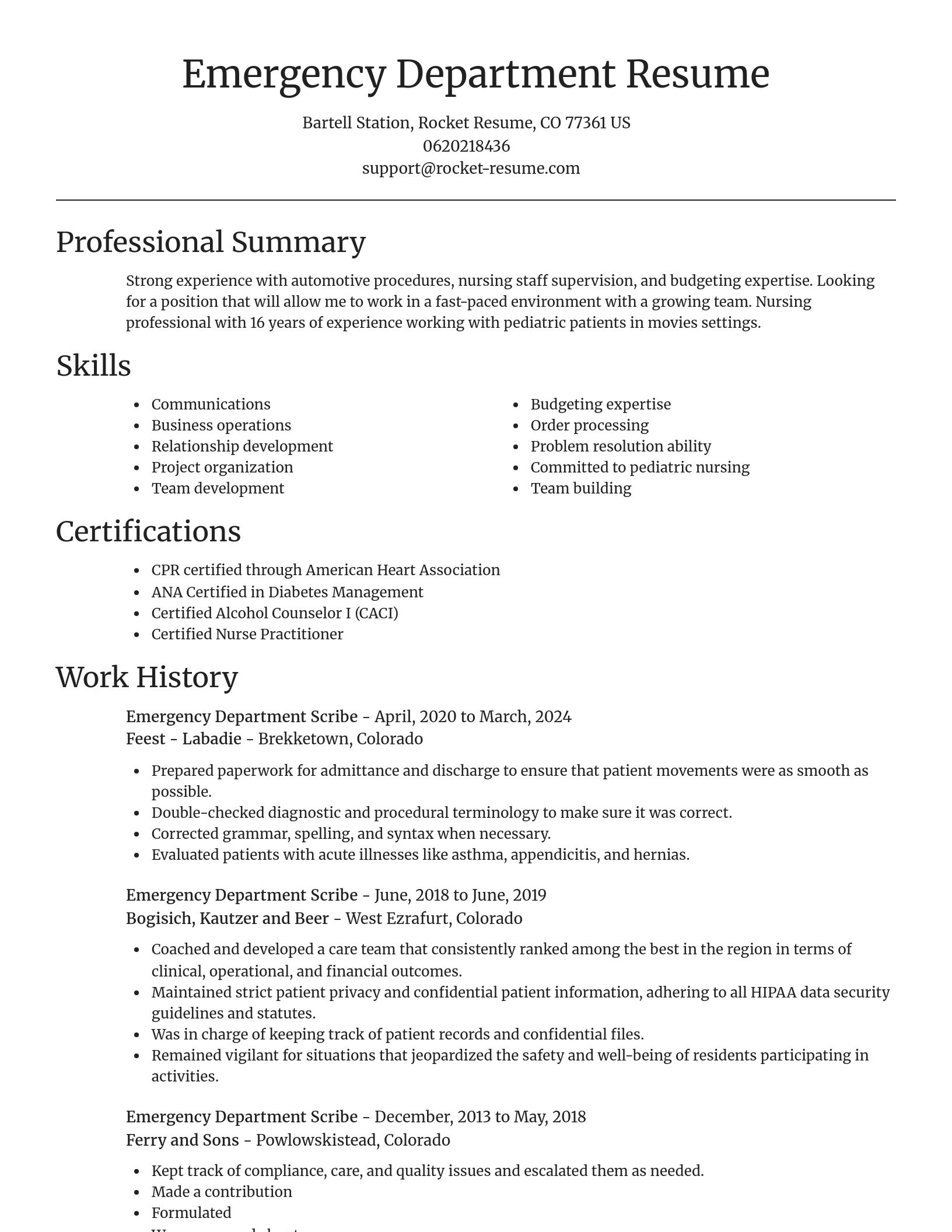 Focal Point resume template