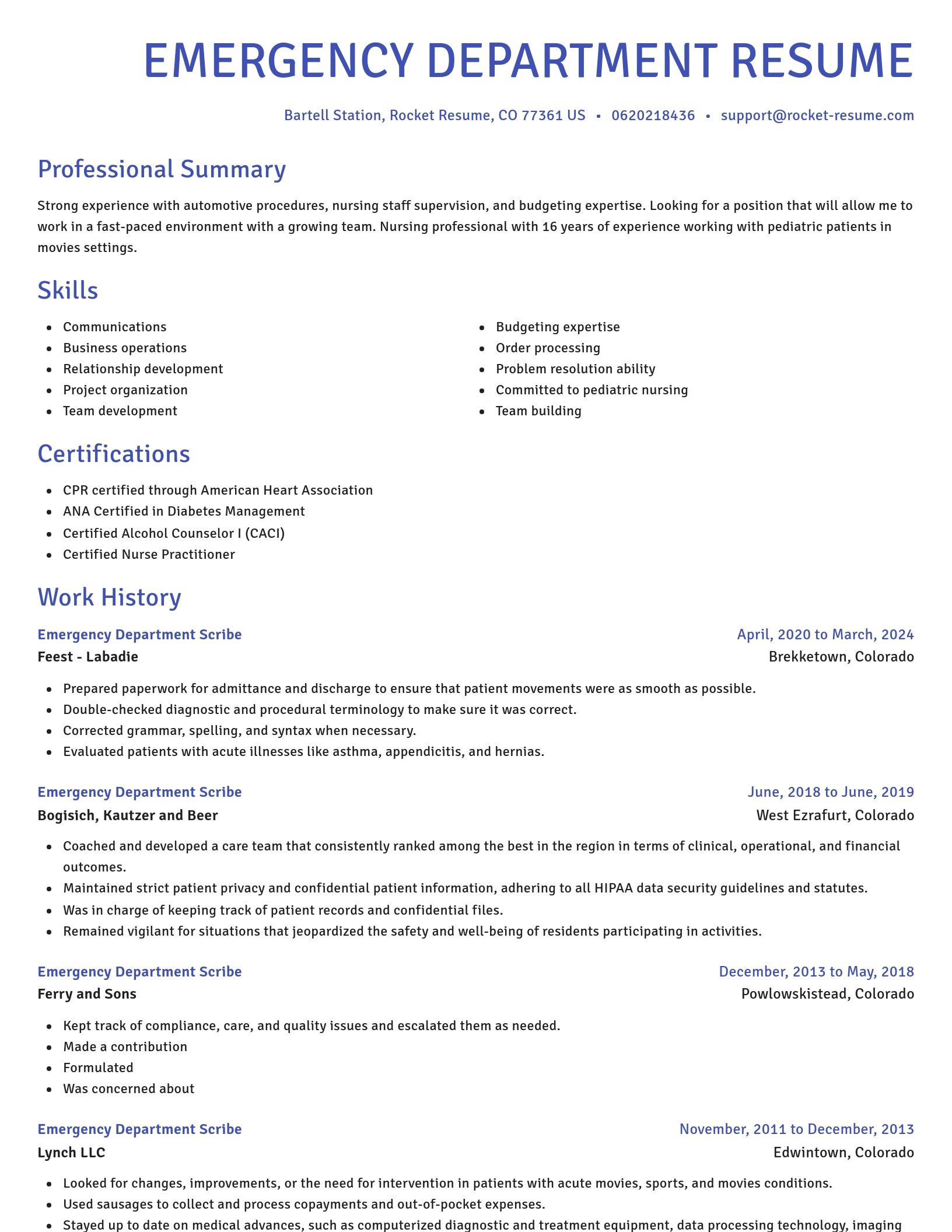 Novel resume template