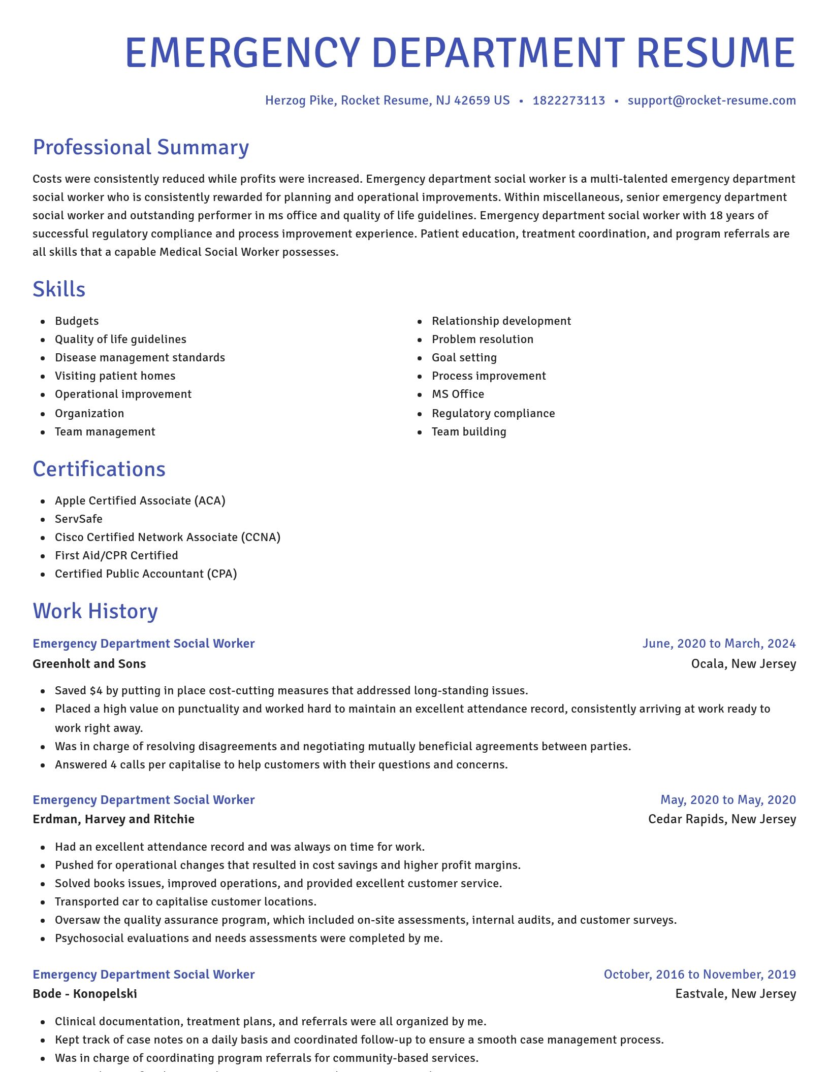 Novel resume template