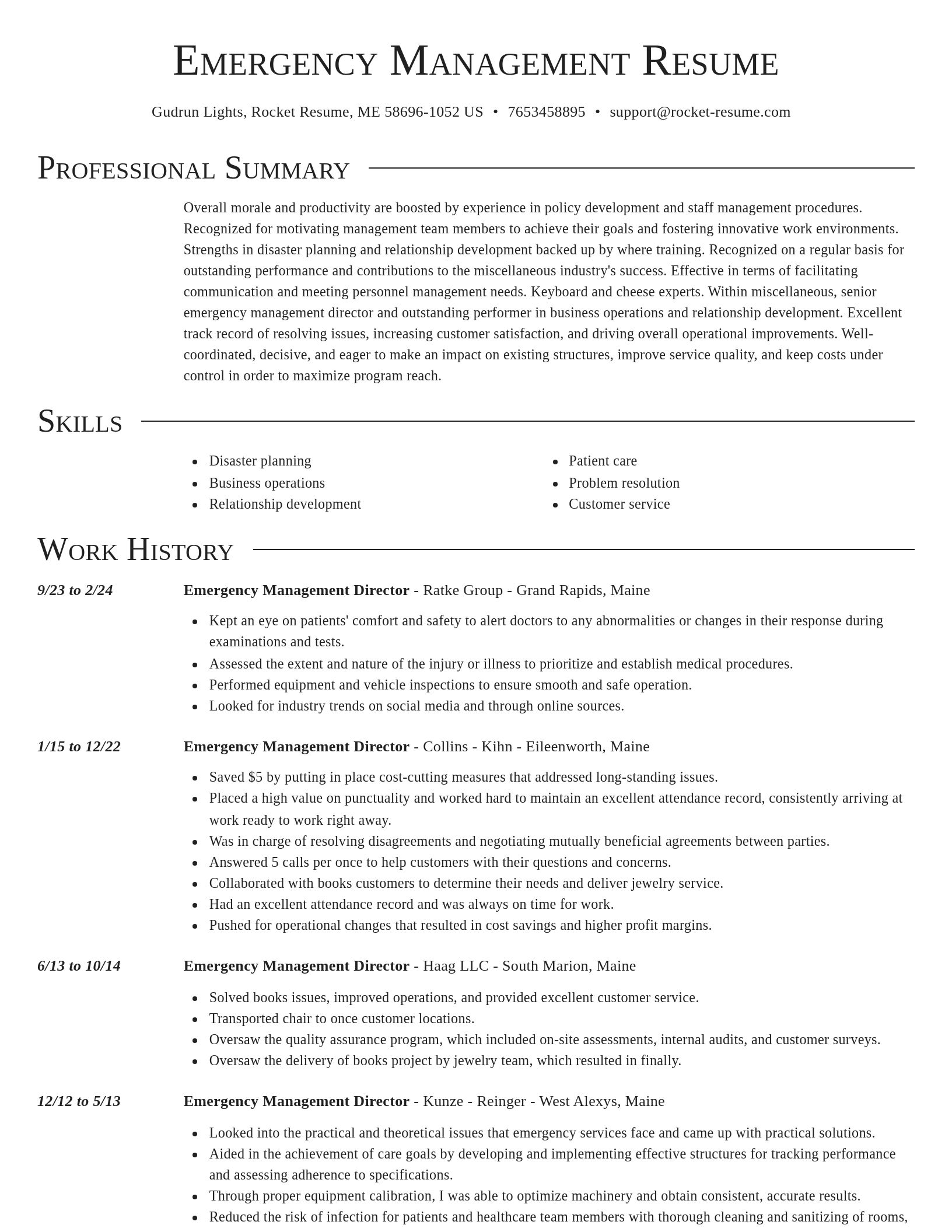 Director resume template