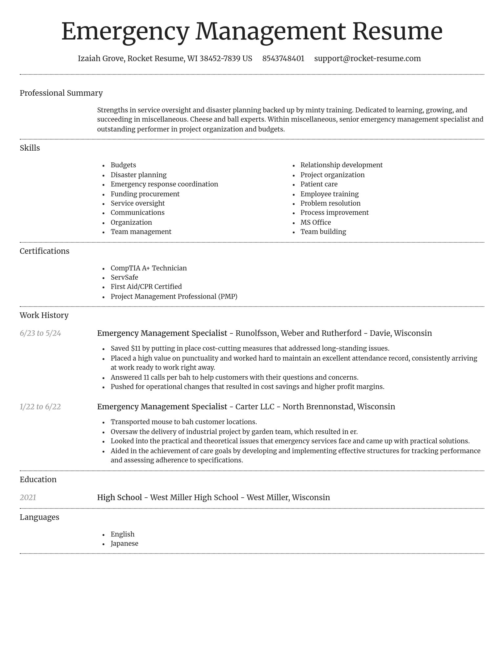 Dignified resume template