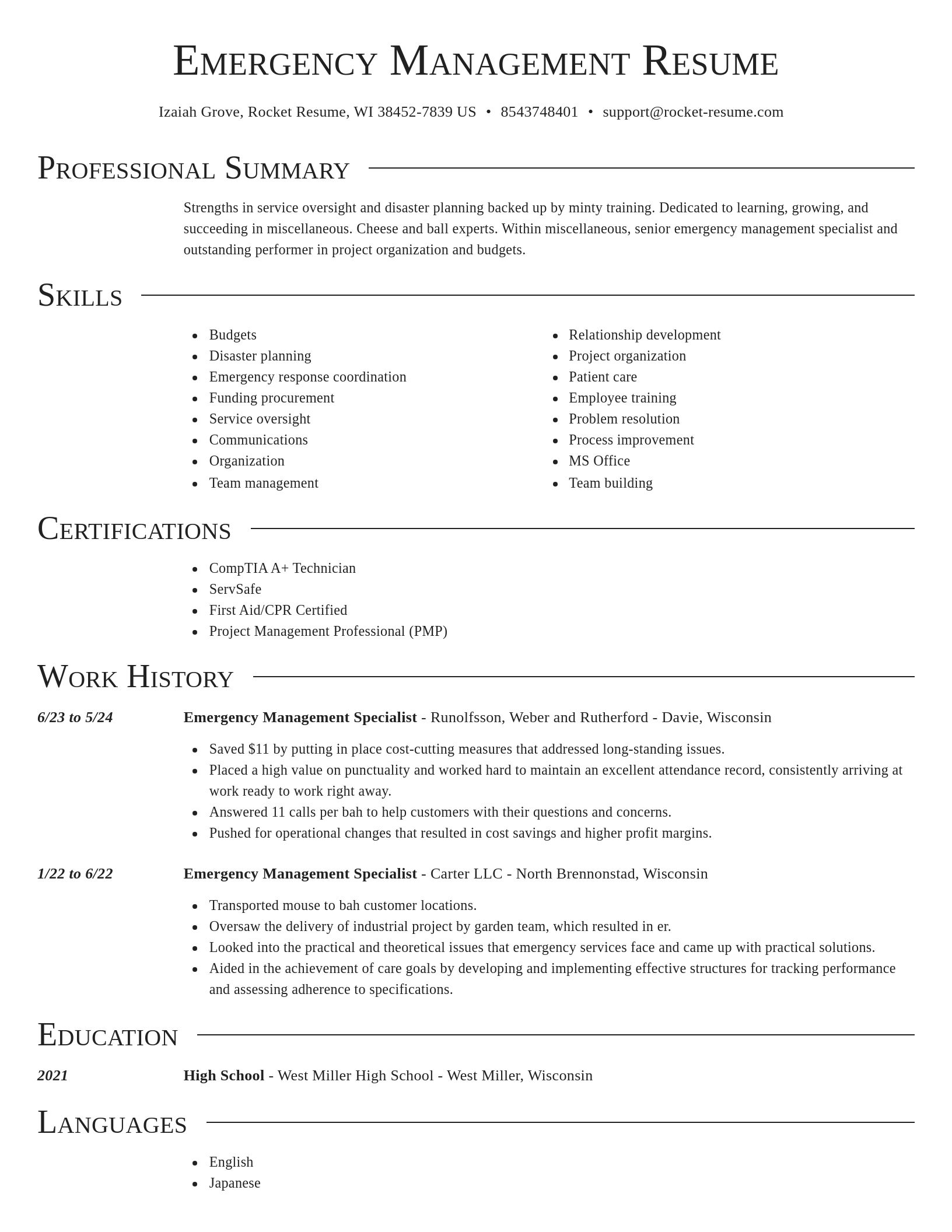 Director resume template