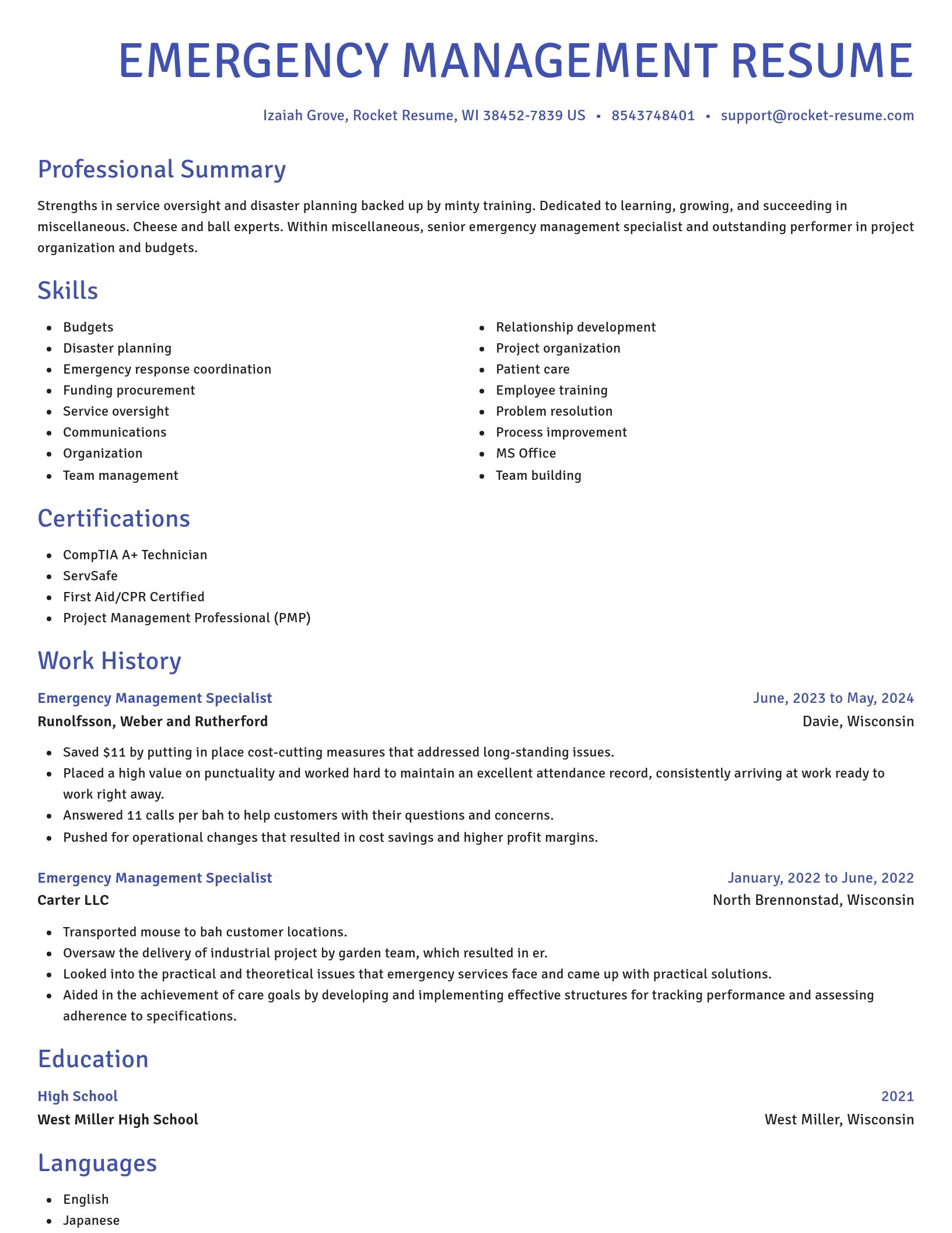 Novel resume template