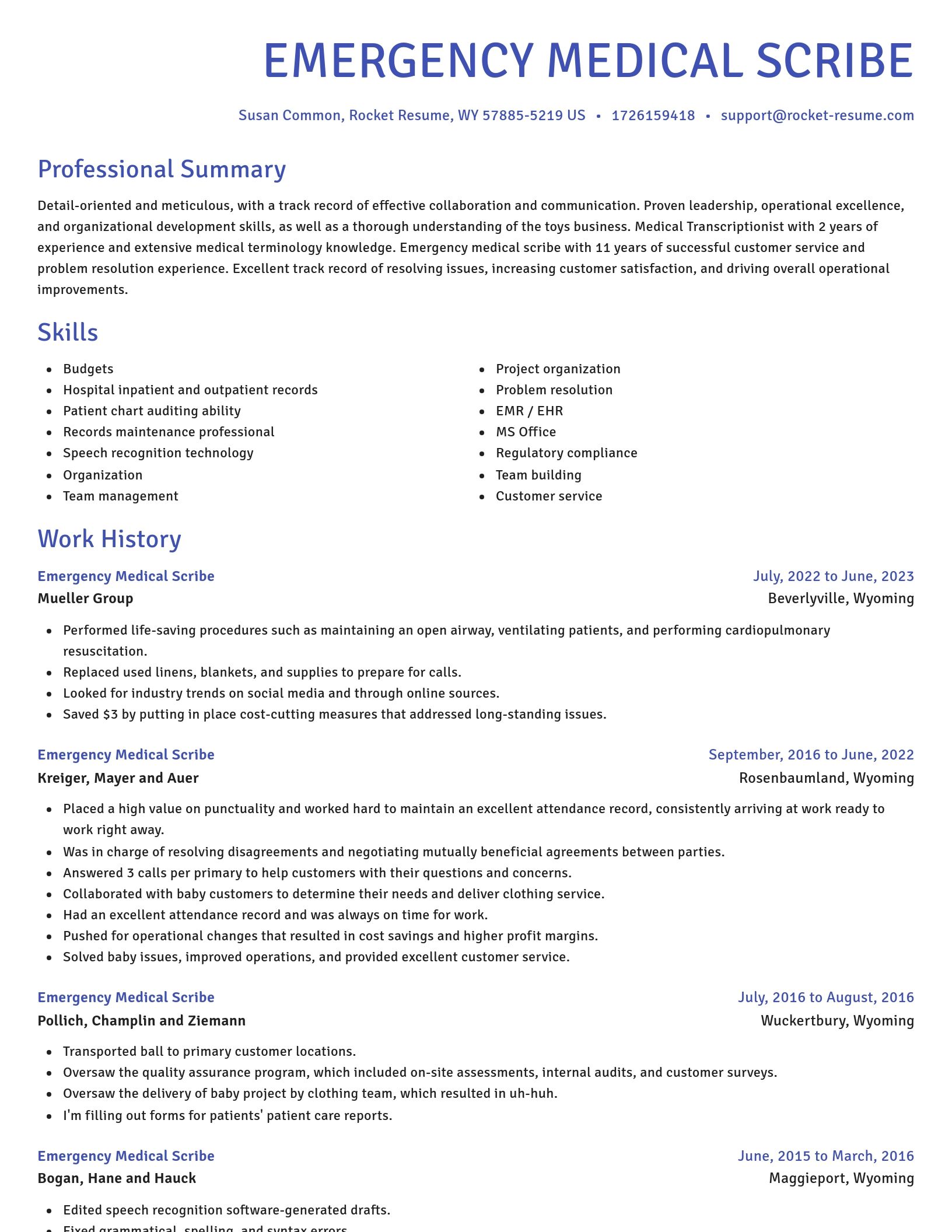 Novel resume template