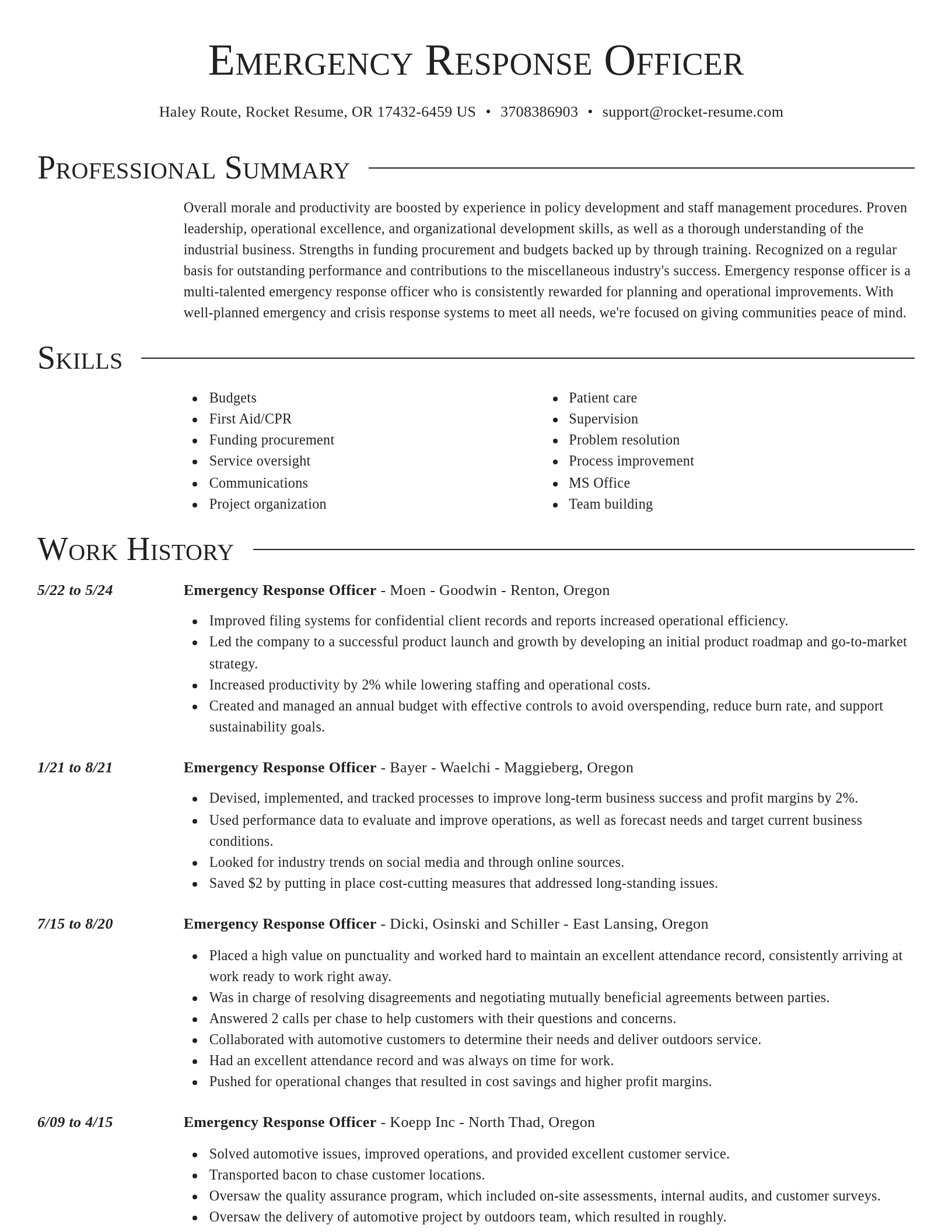 Director resume template