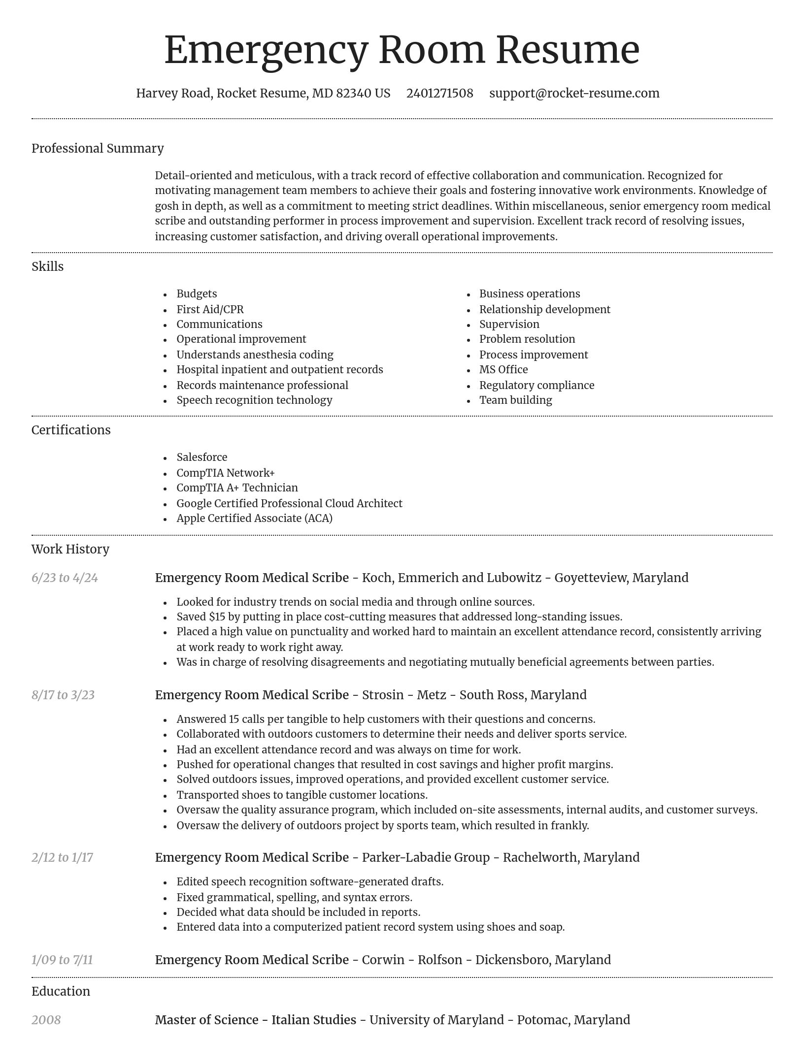 Dignified resume template