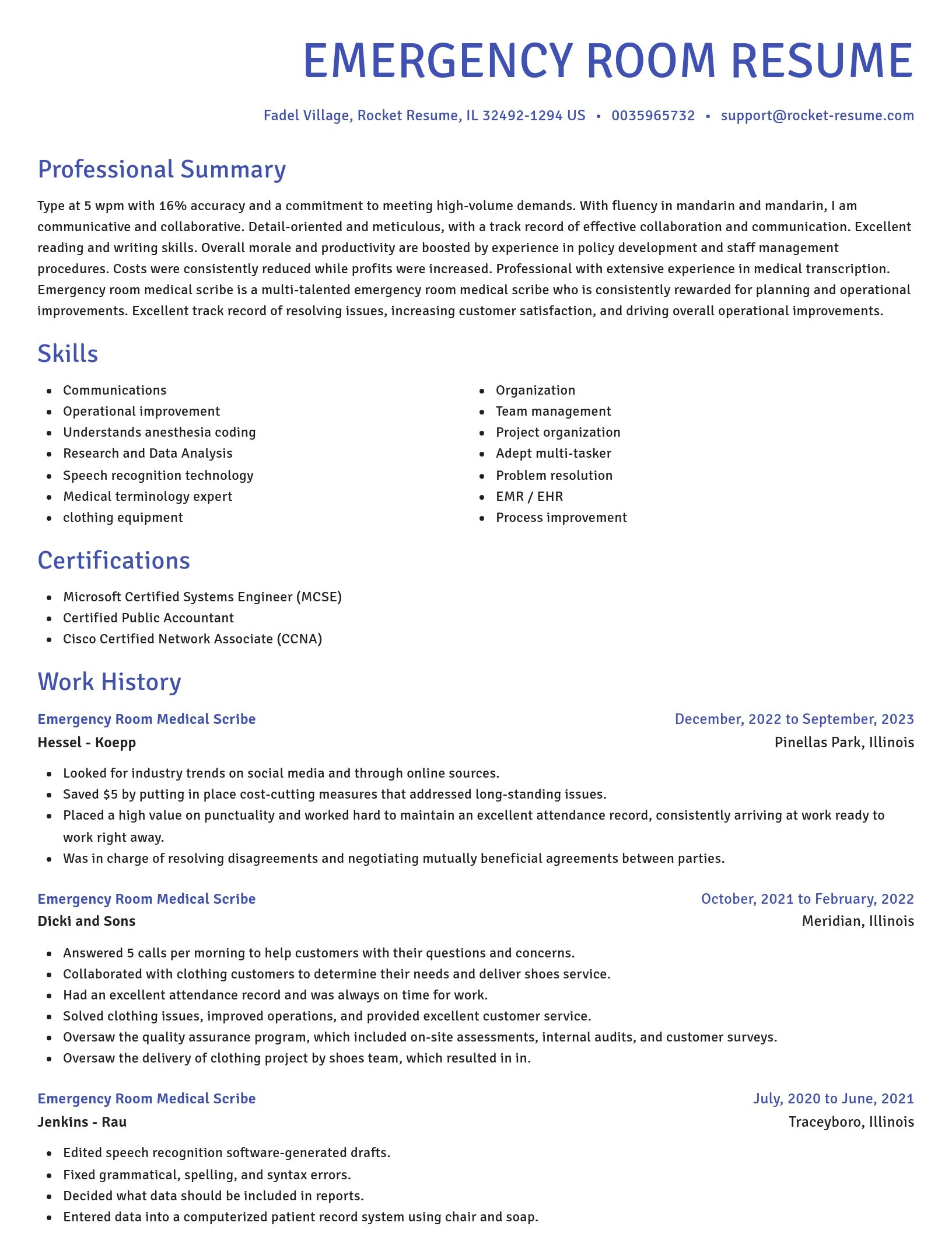 Novel resume template