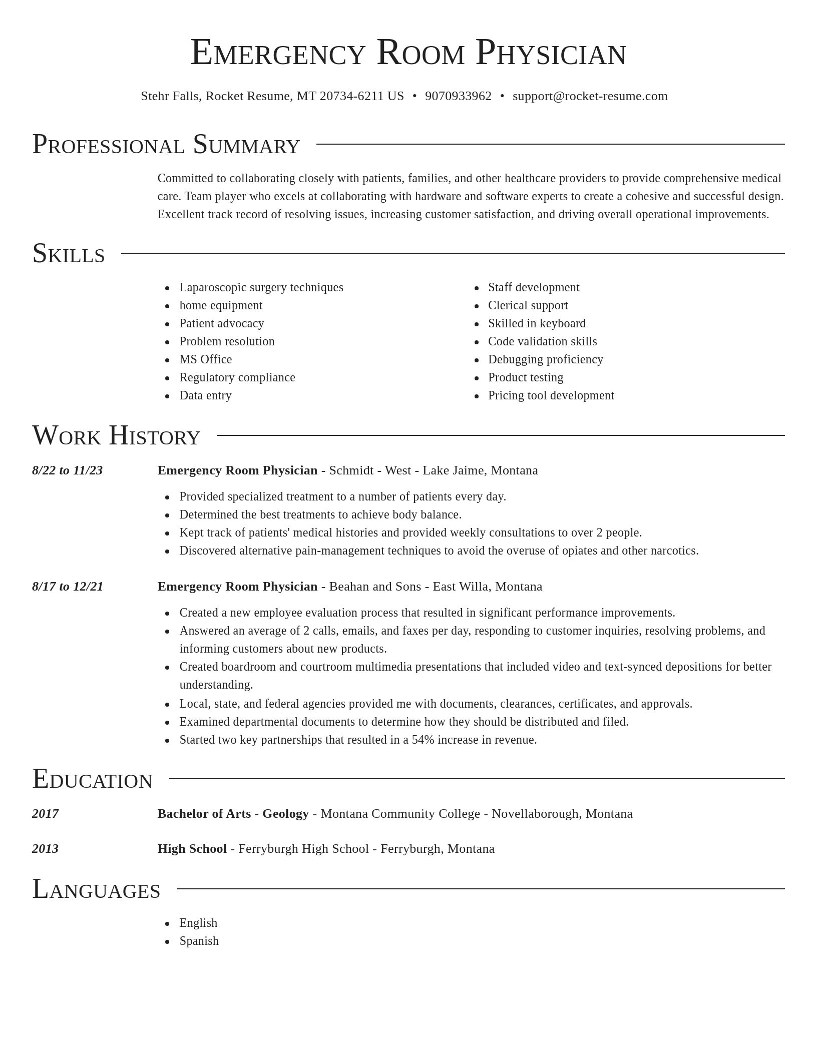 Director resume template