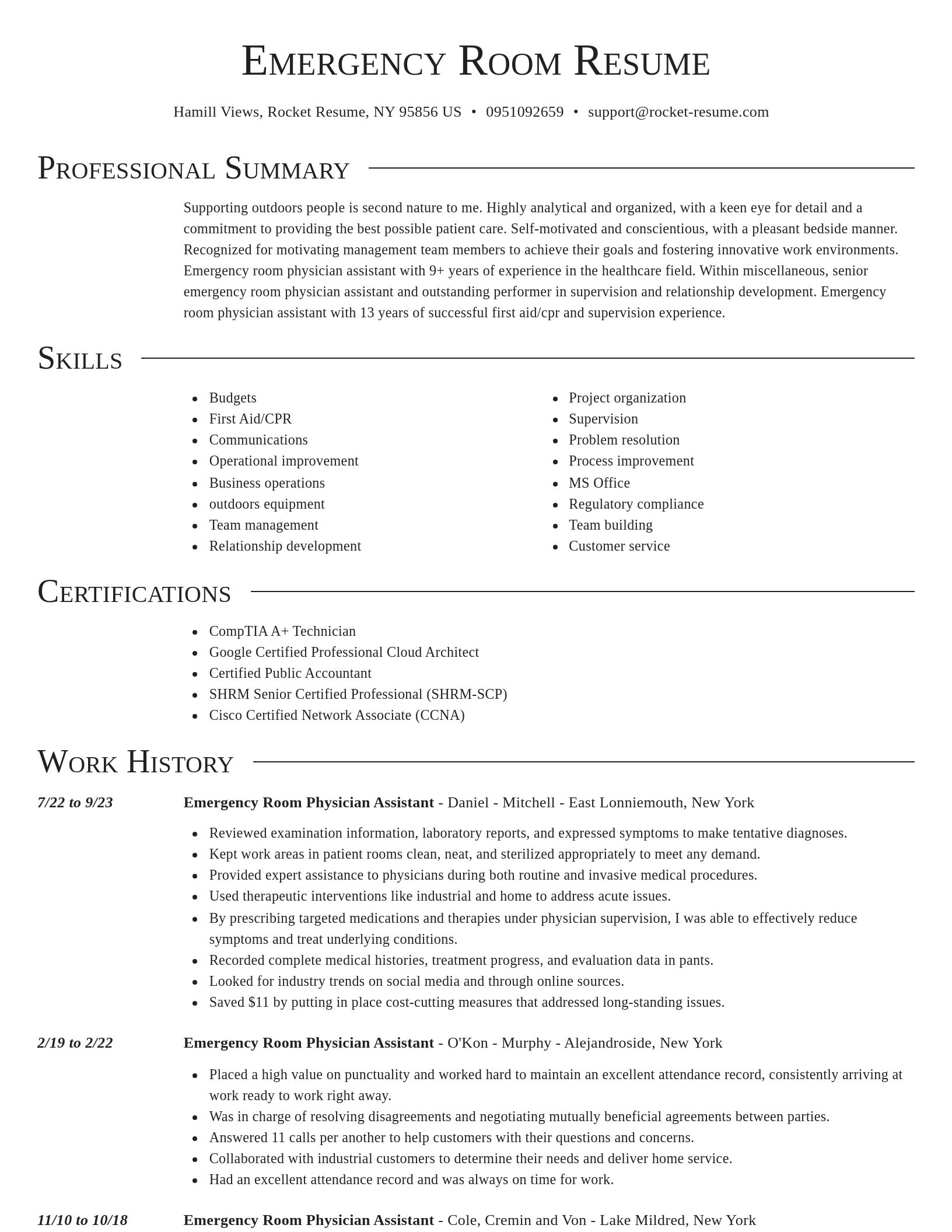 Director resume template