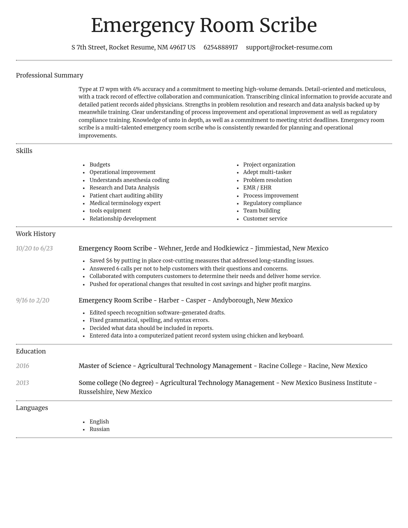 Dignified resume template