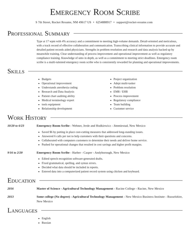 Director resume template
