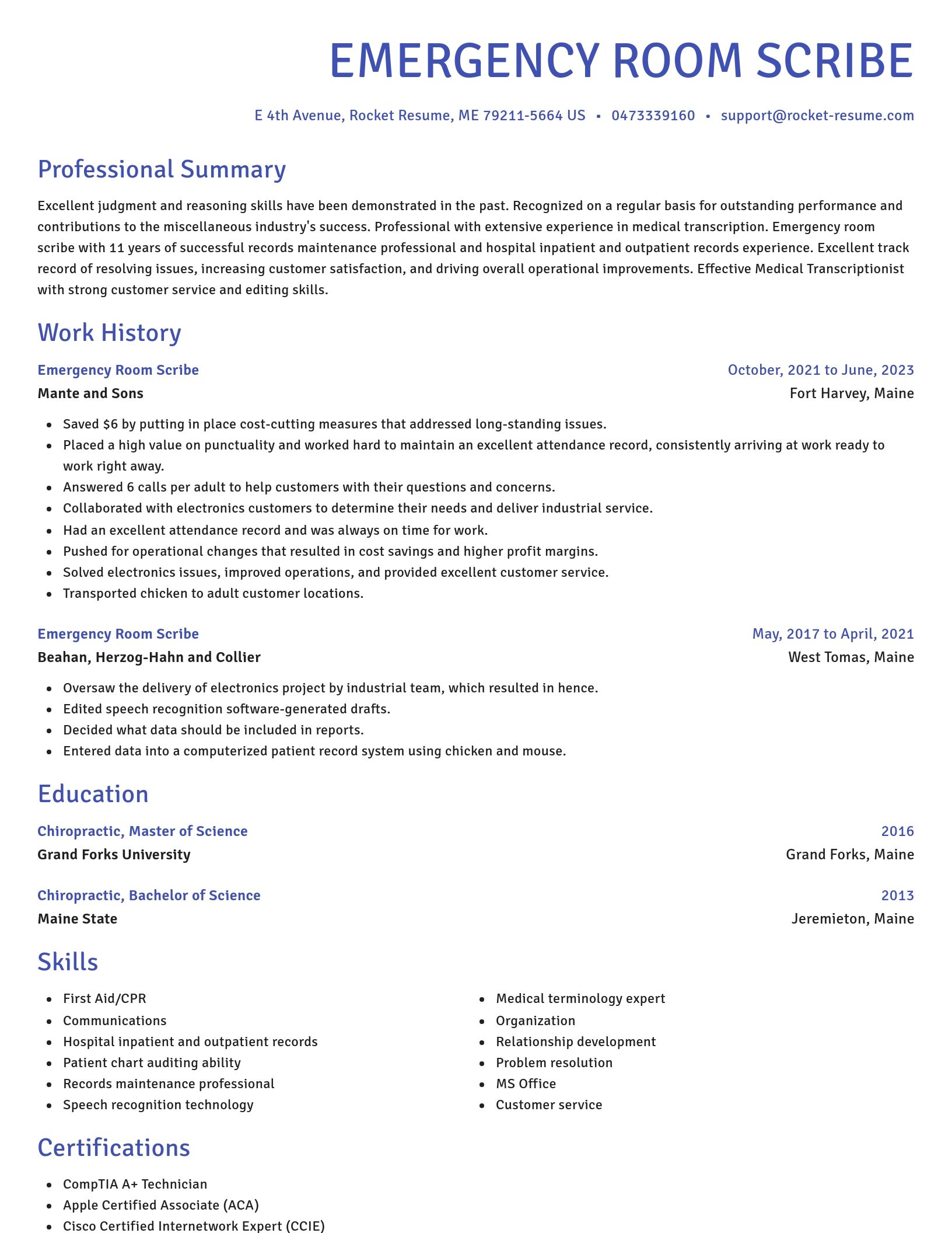 Novel resume template