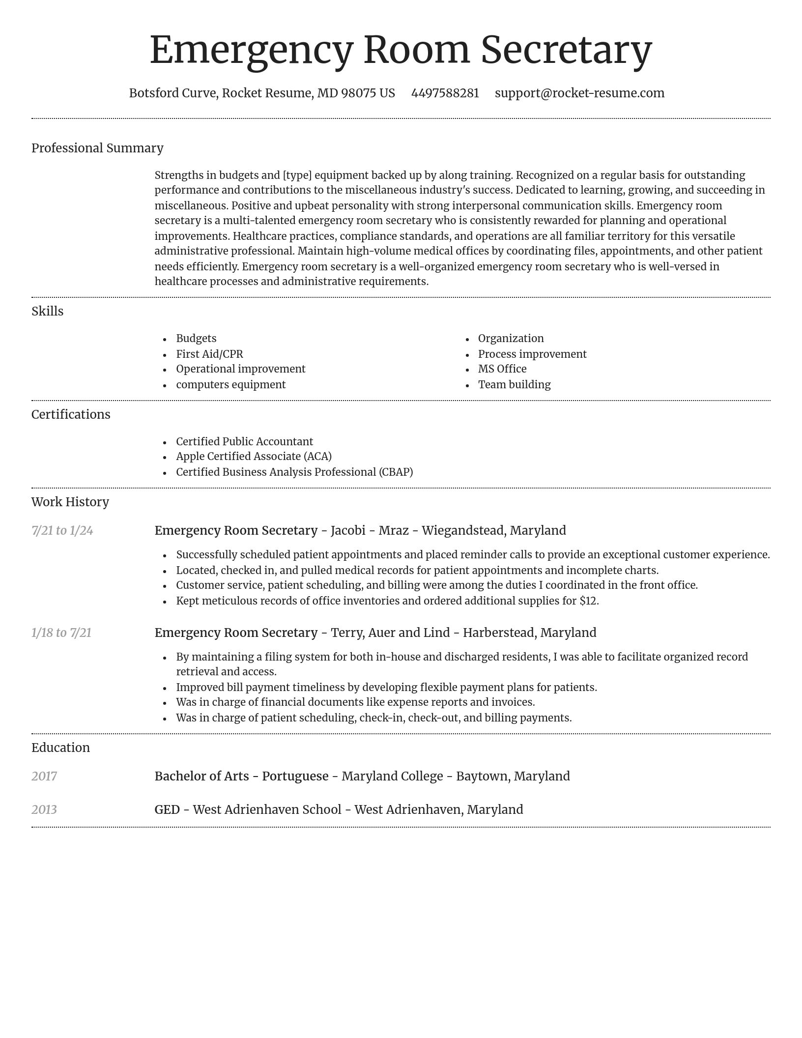 Dignified resume template