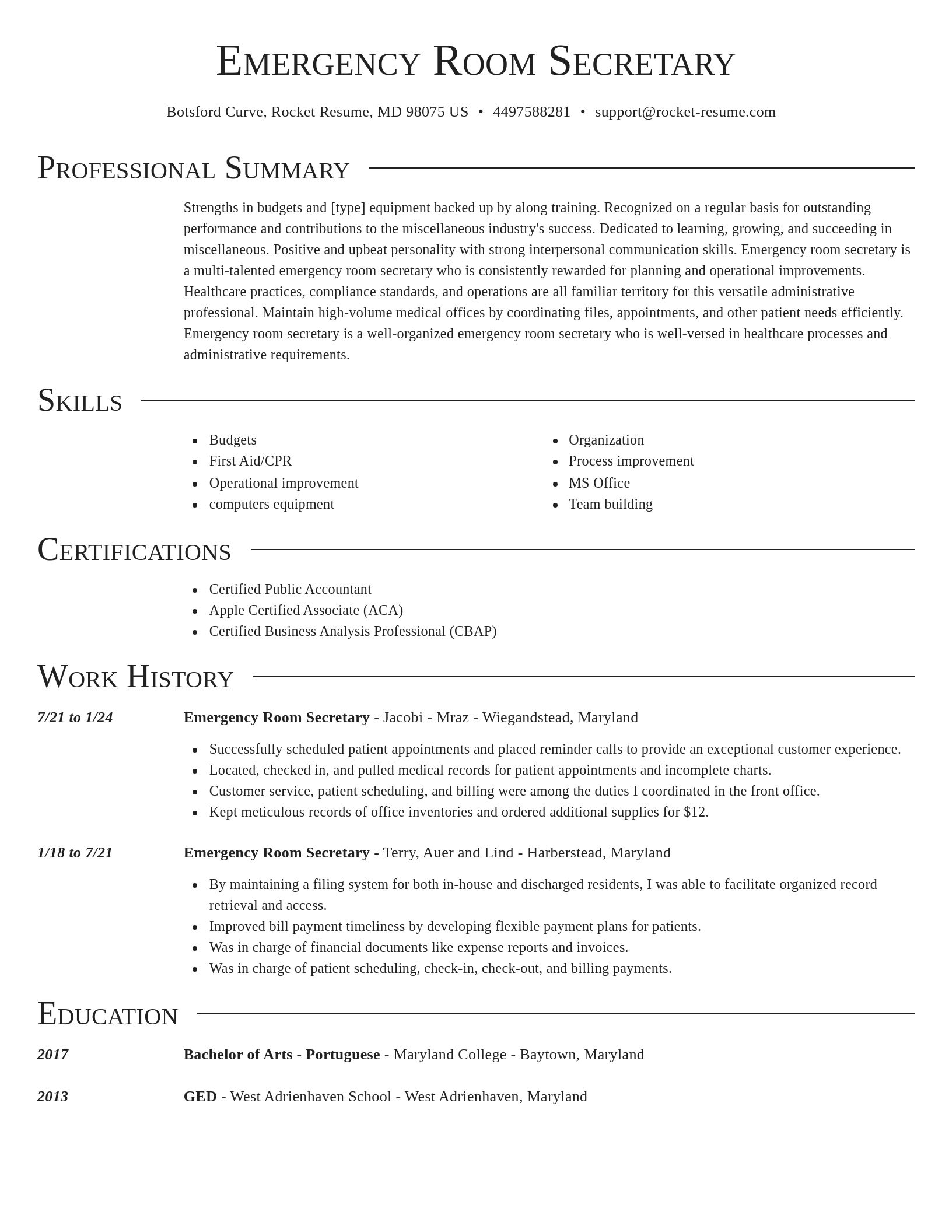 Director resume template
