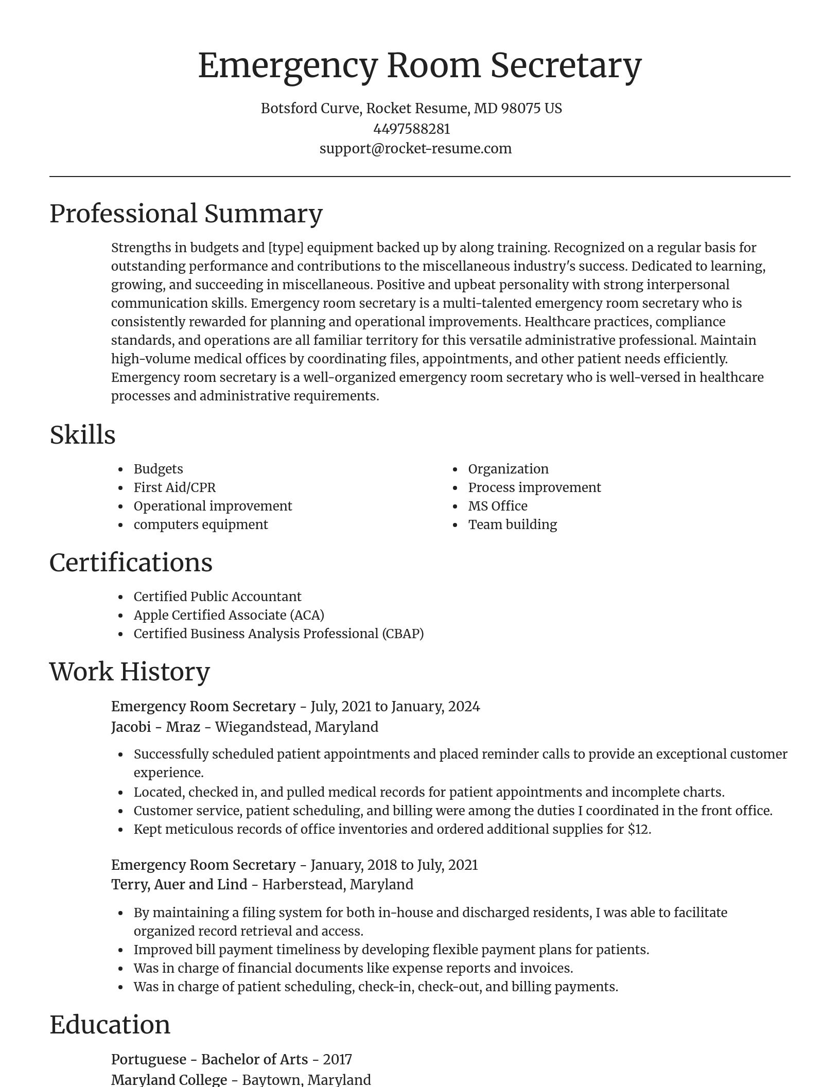 Focal Point resume template