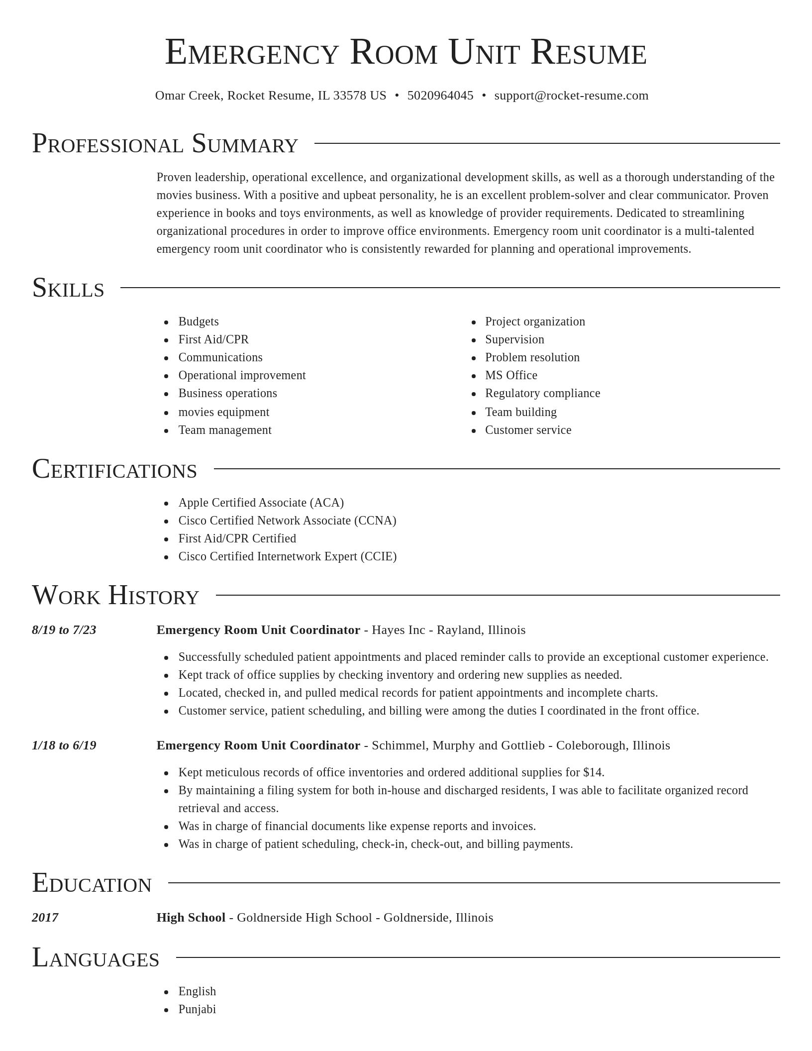 Director resume template