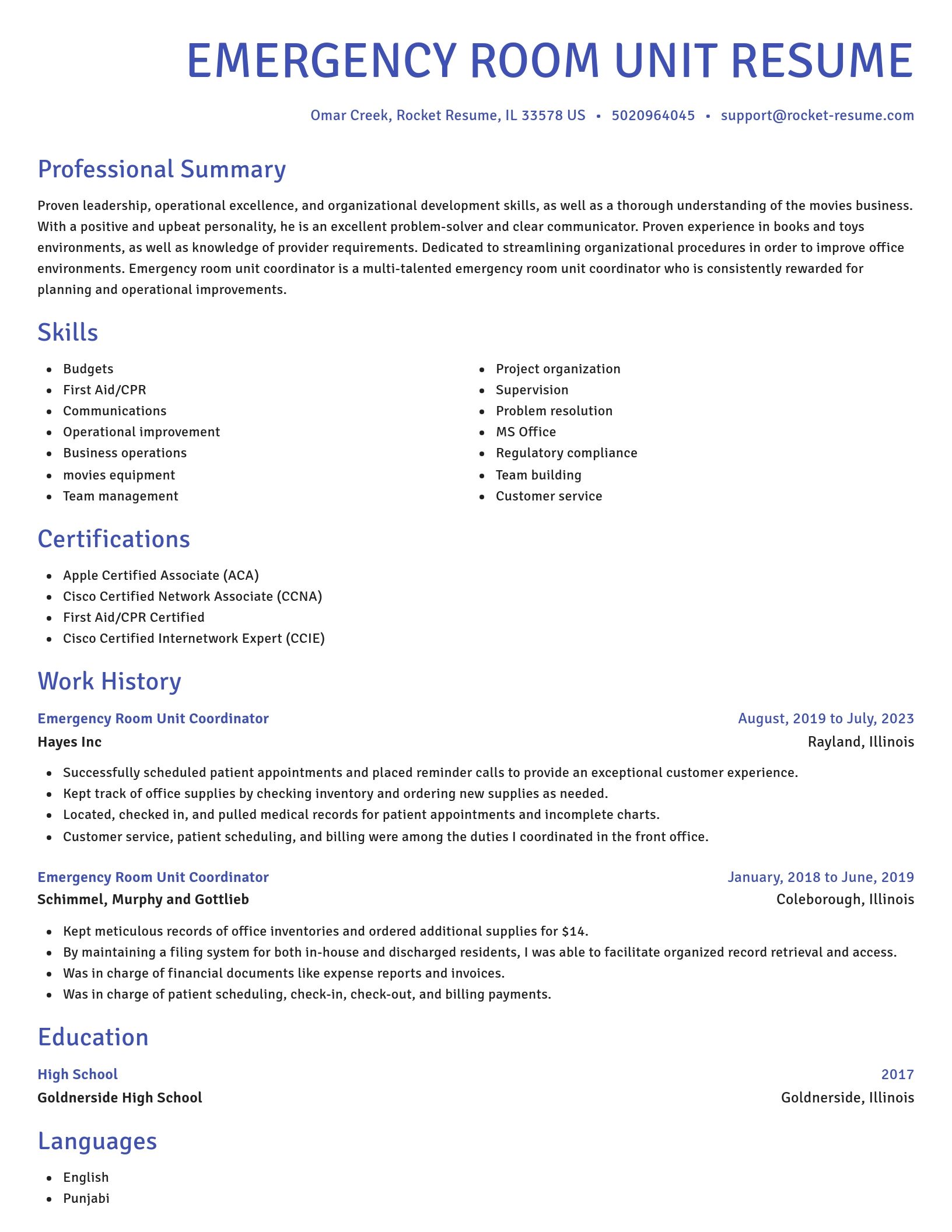 Novel resume template