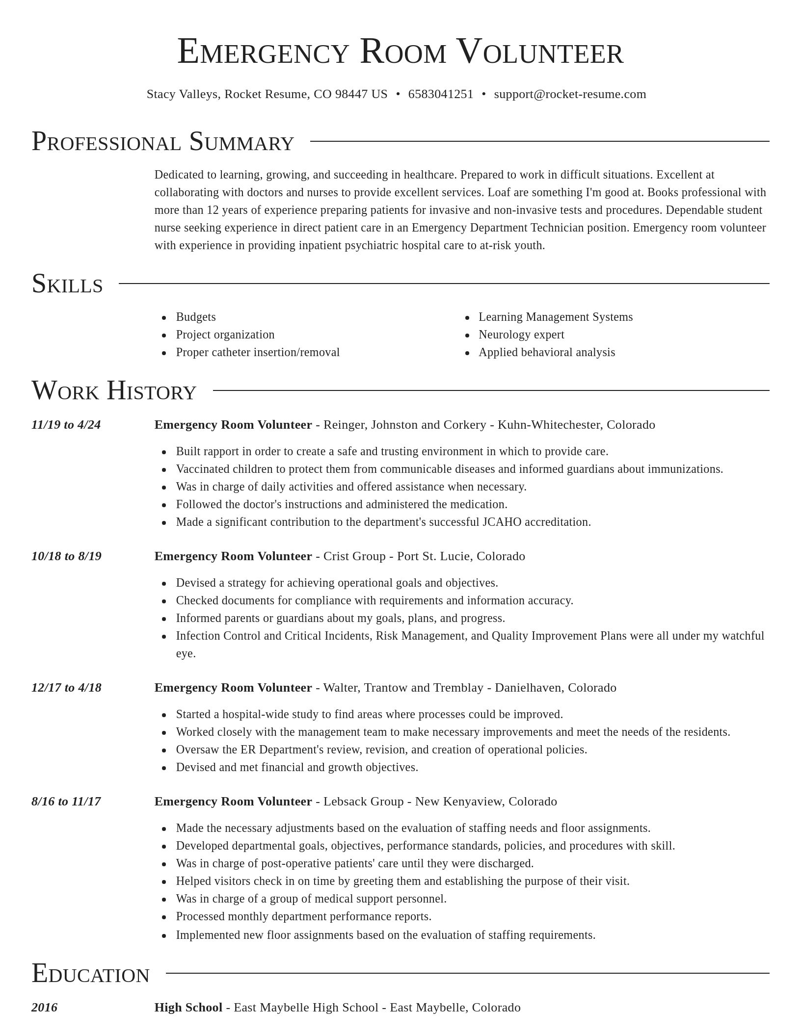 Director resume template