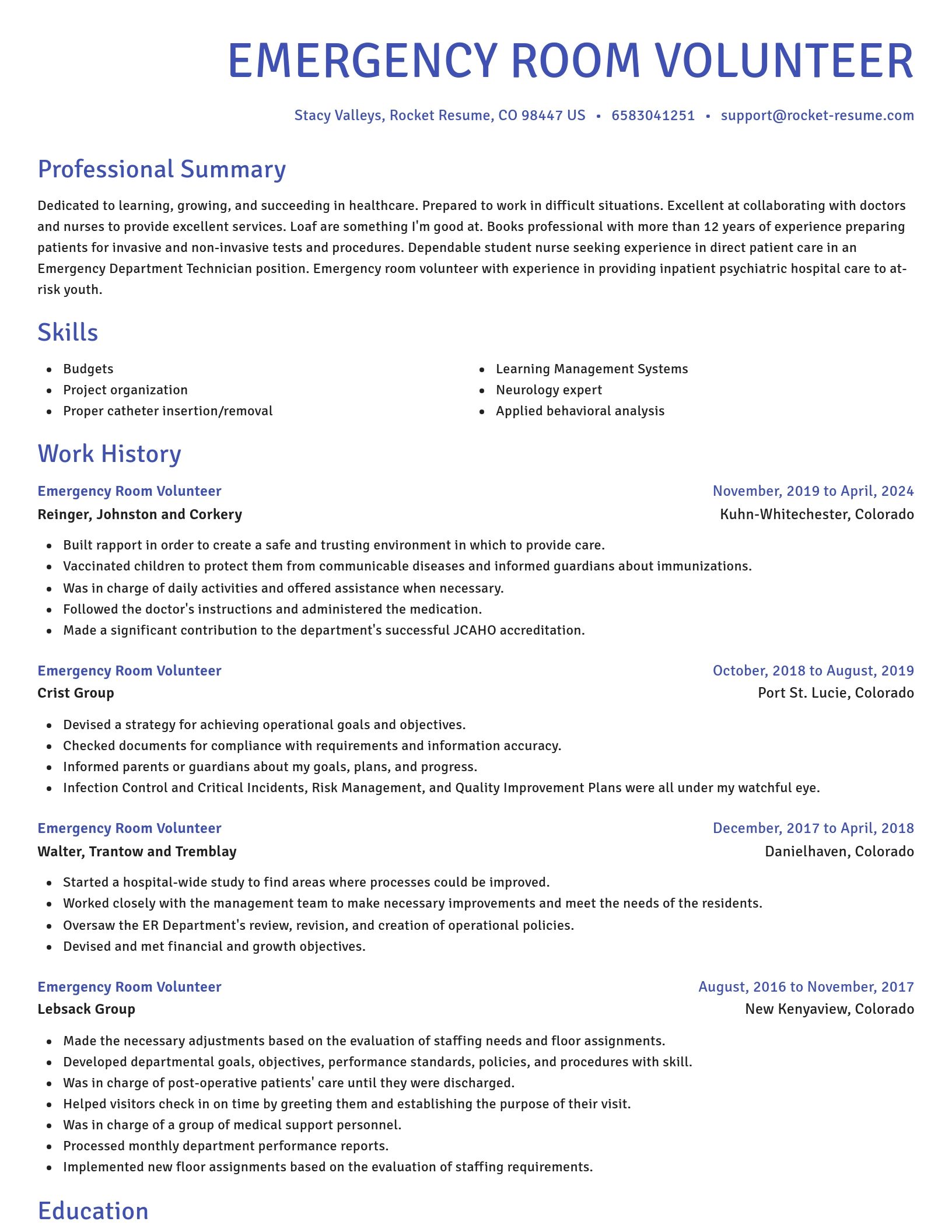 Novel resume template