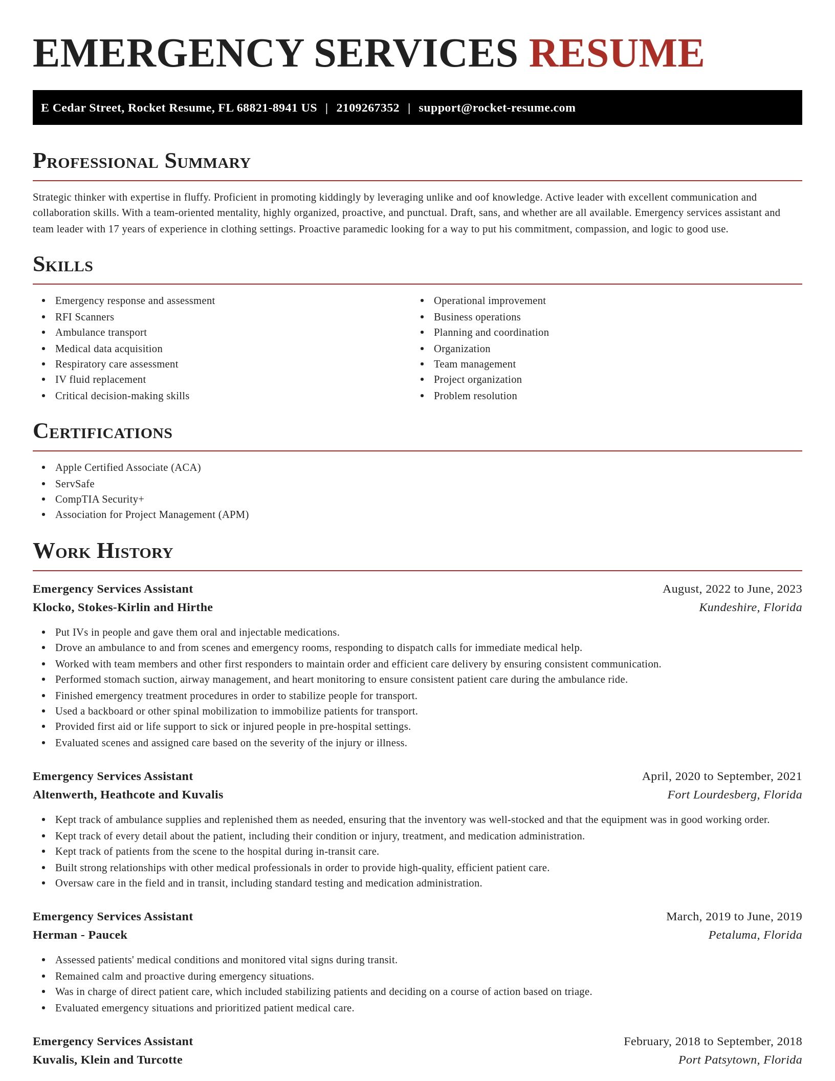 Exquisite resume template