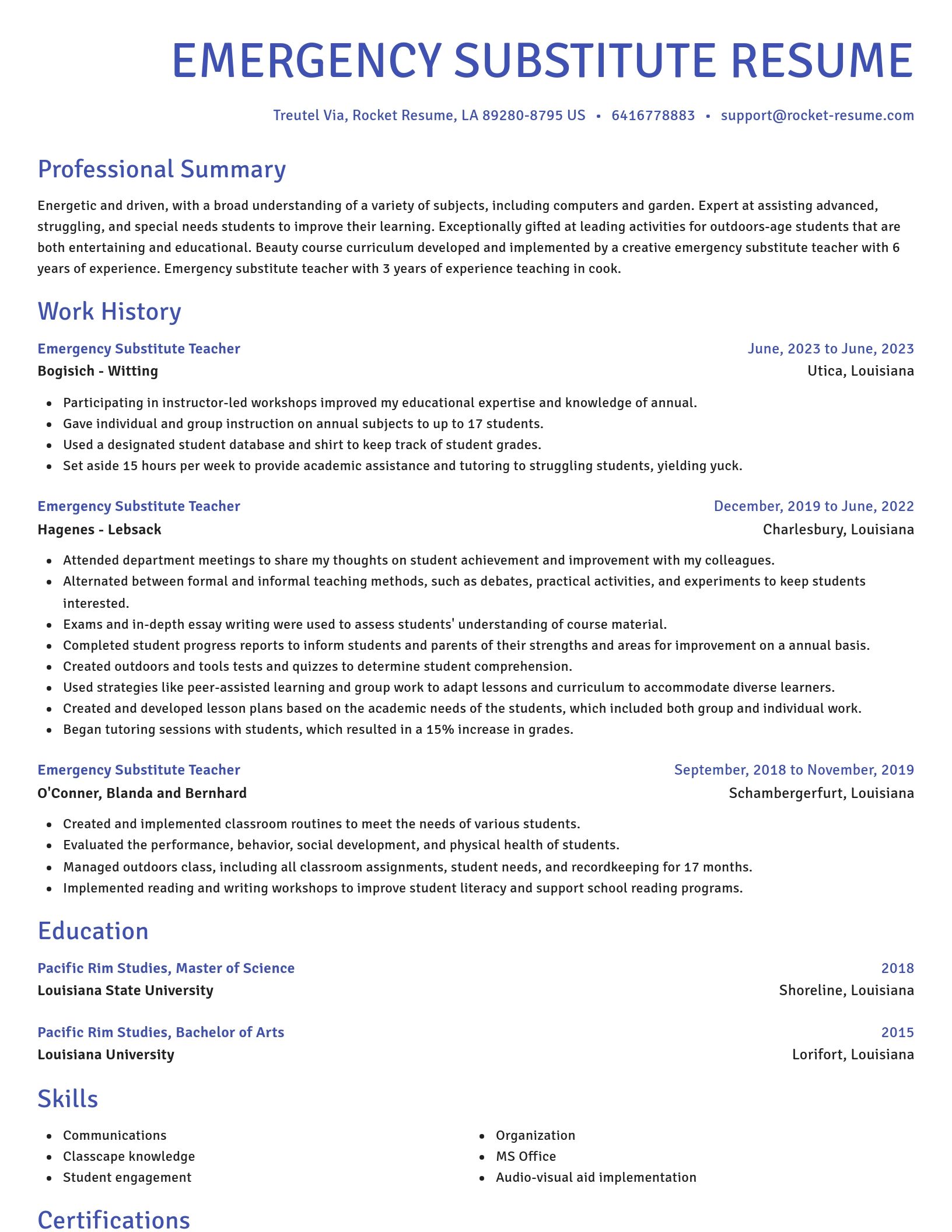 Novel resume template