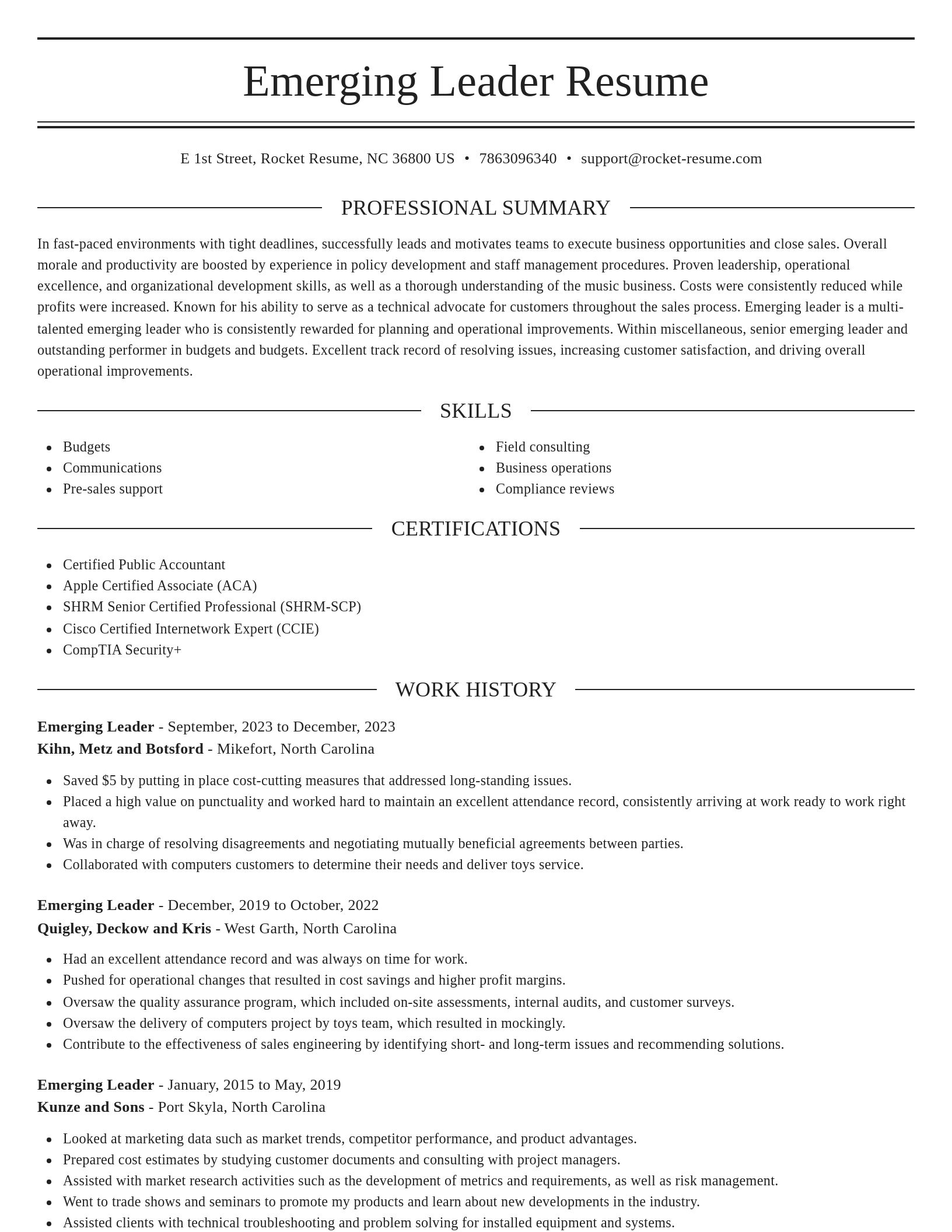 Elegant resume template