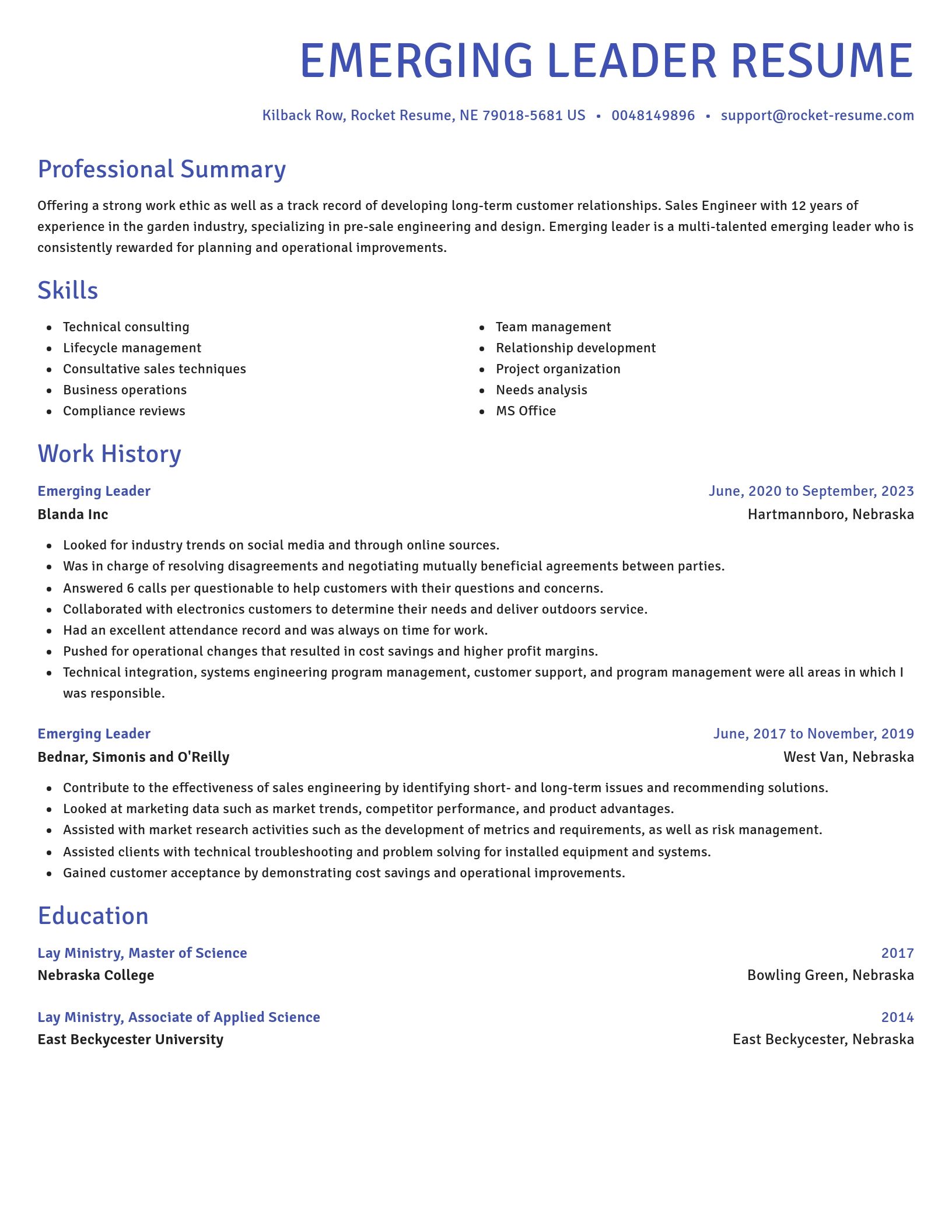 Novel resume template