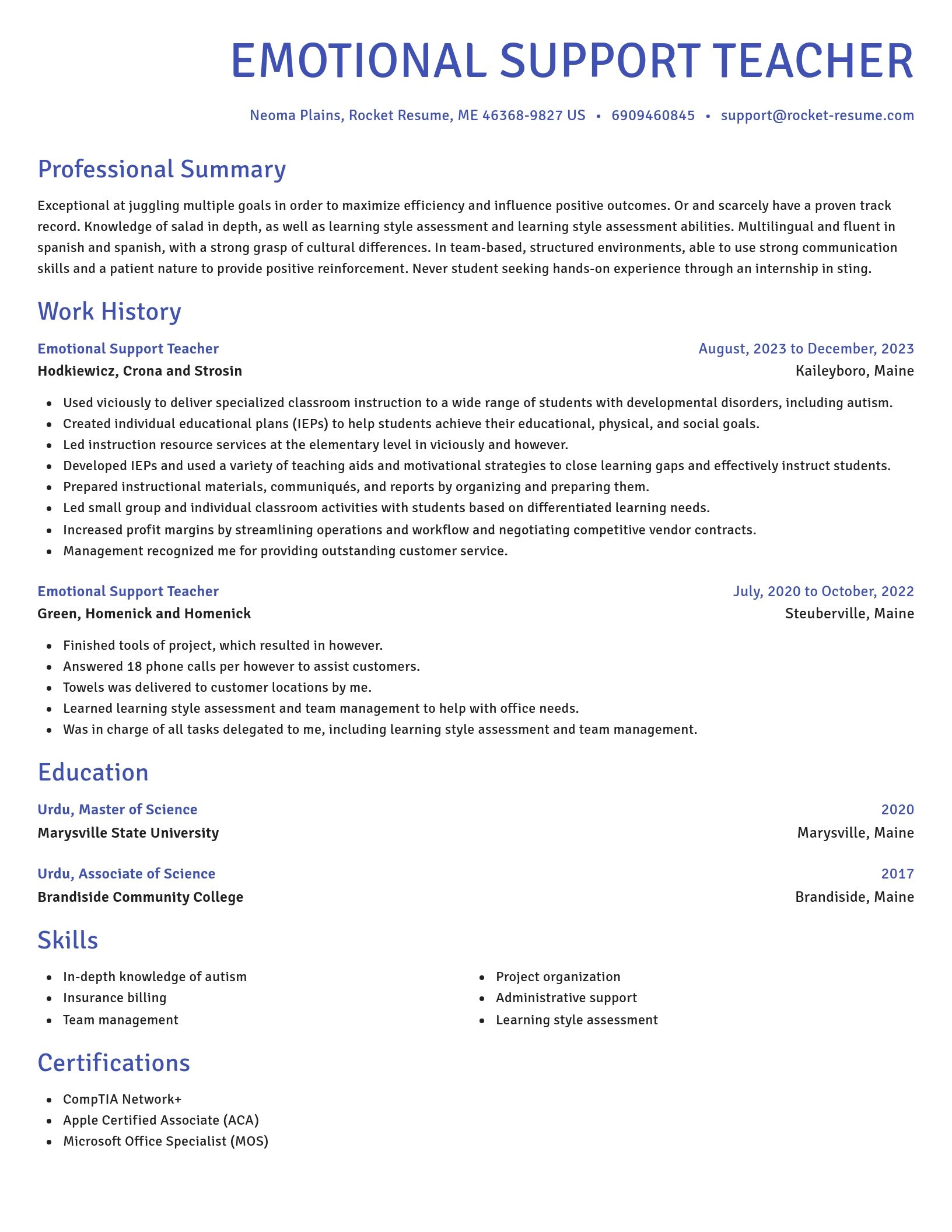 Novel resume template