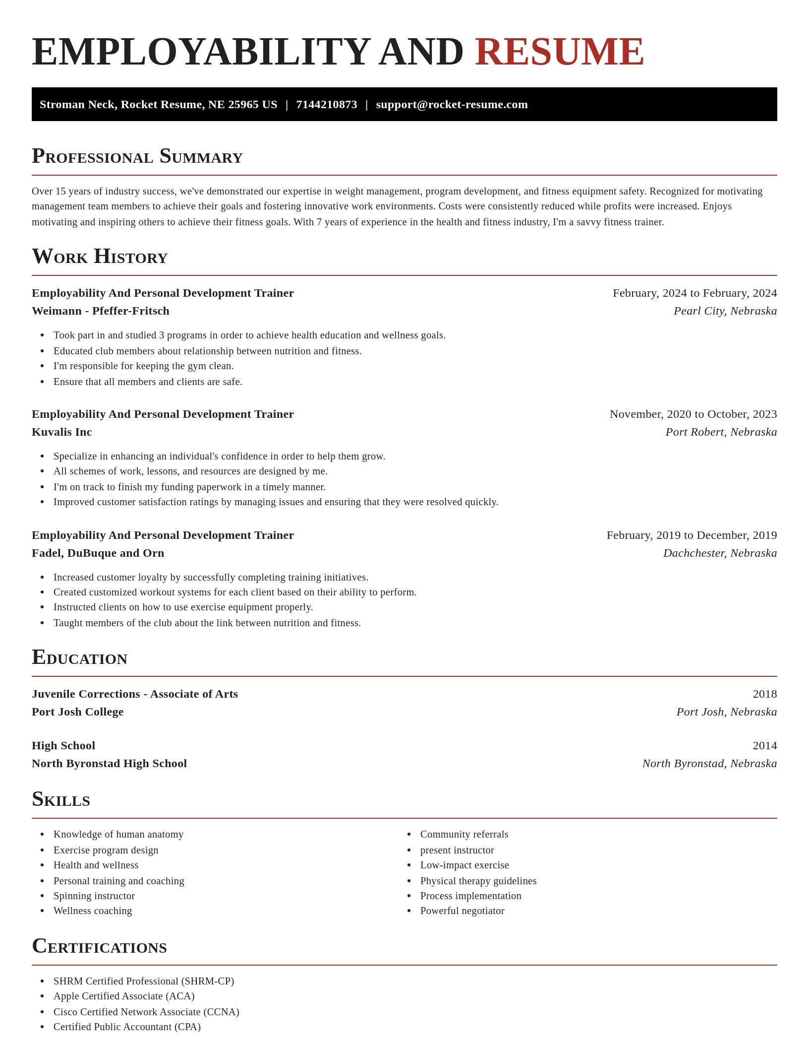 Exquisite resume template