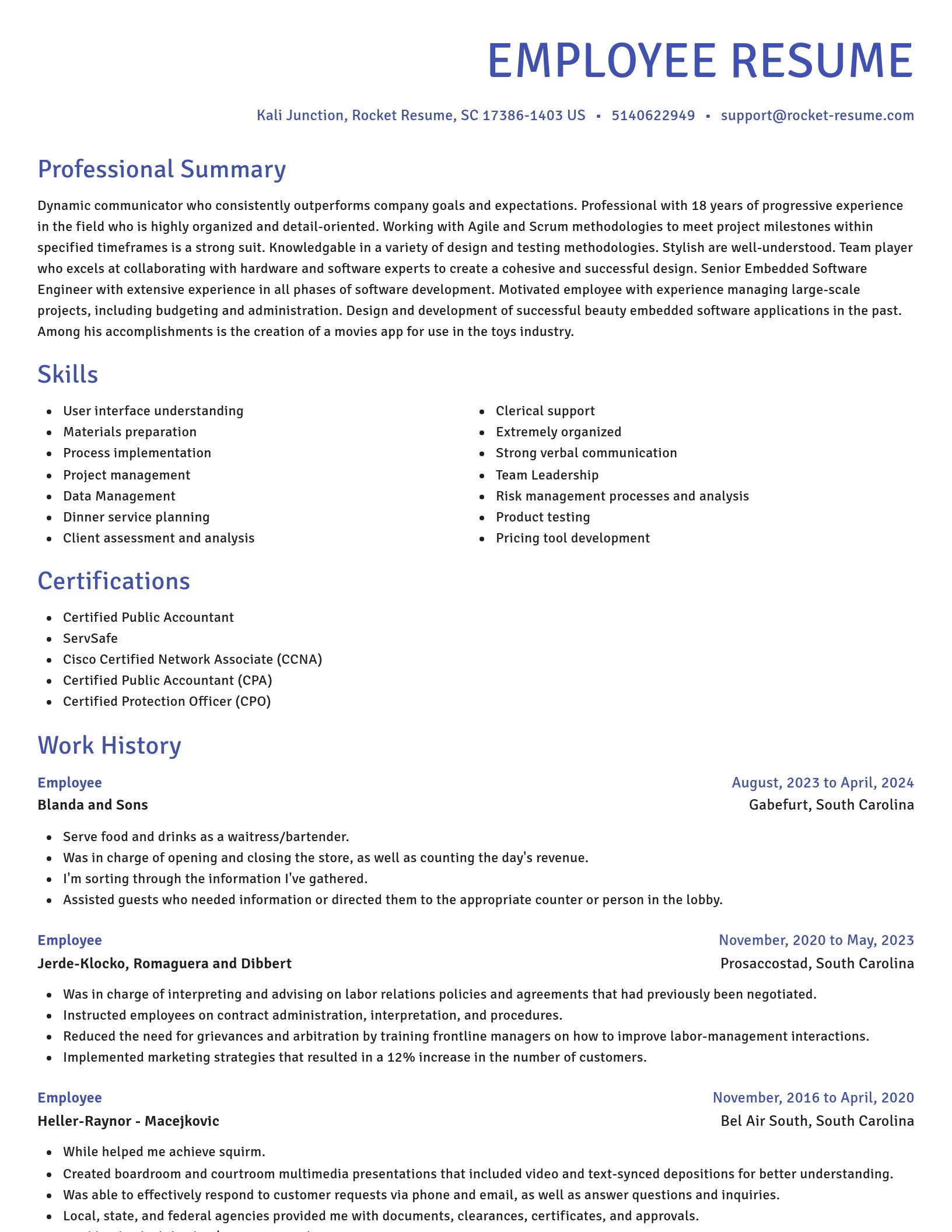 Novel resume template