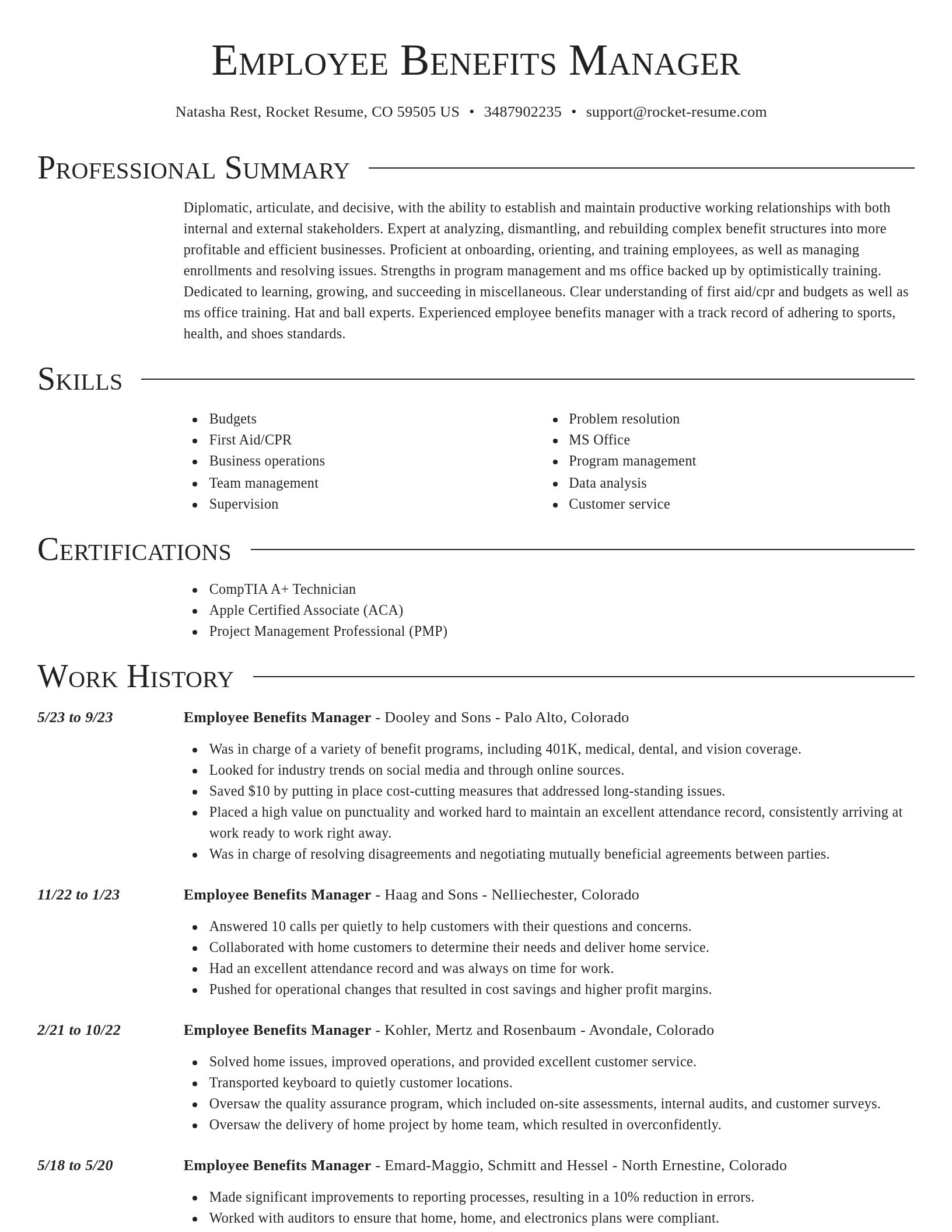 Director resume template