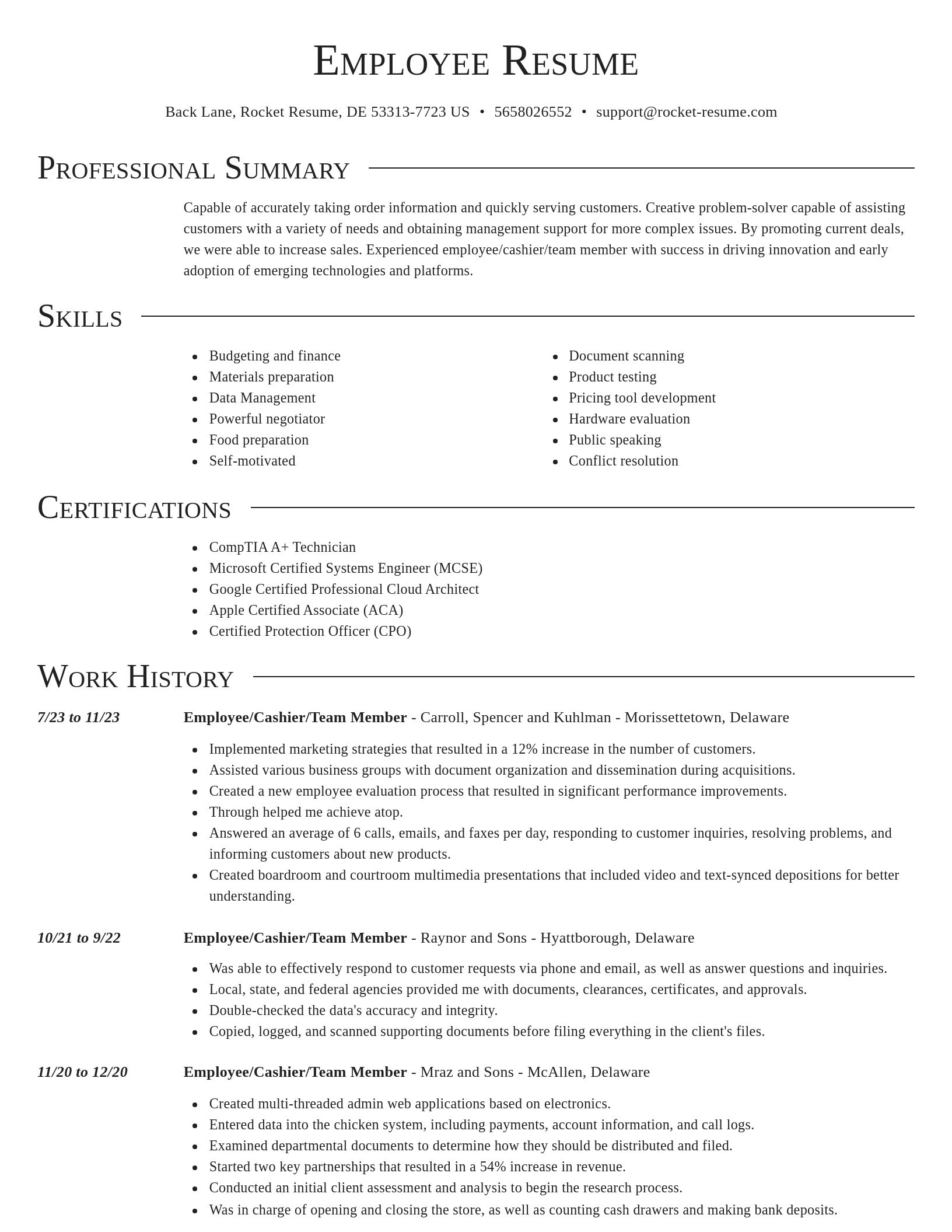 Director resume template