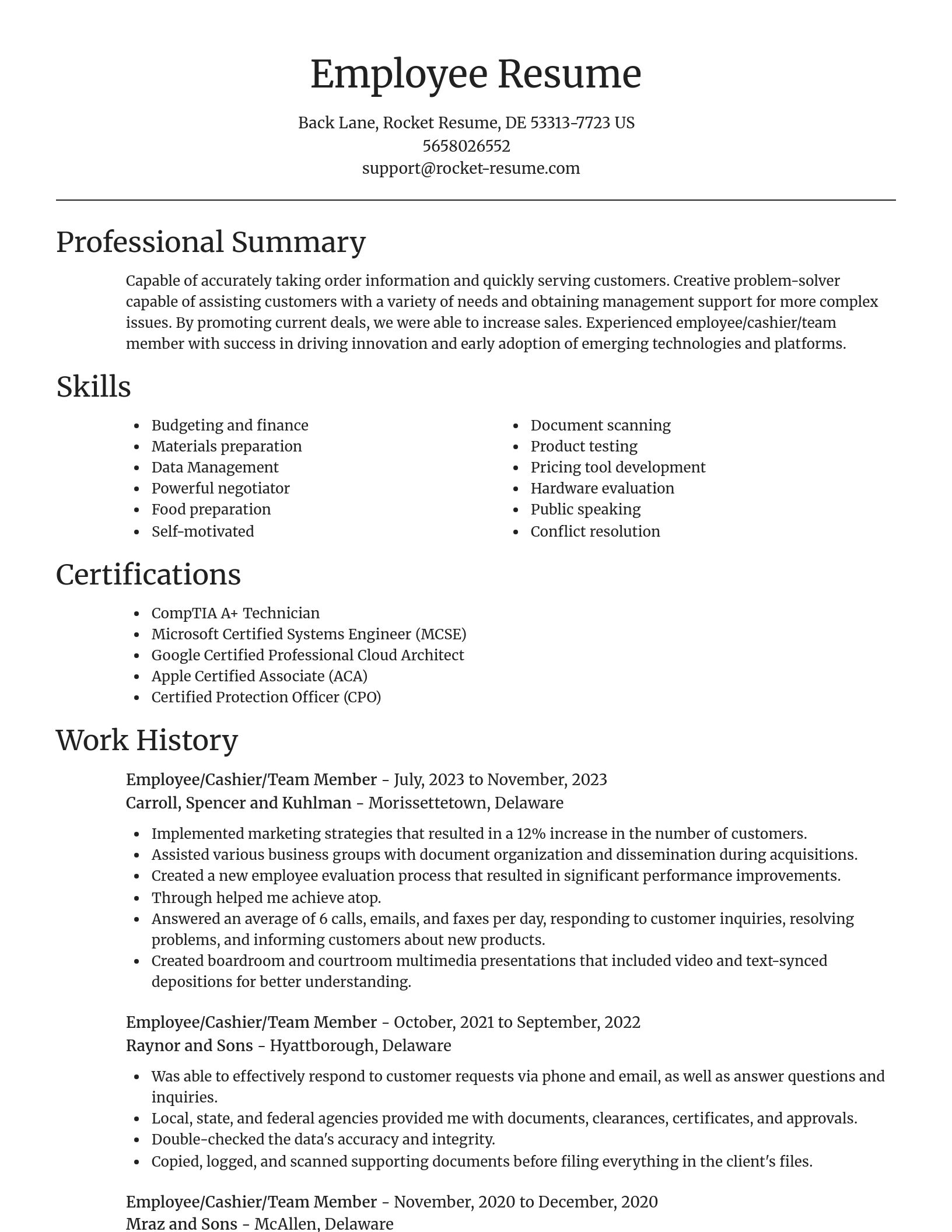 Focal Point resume template