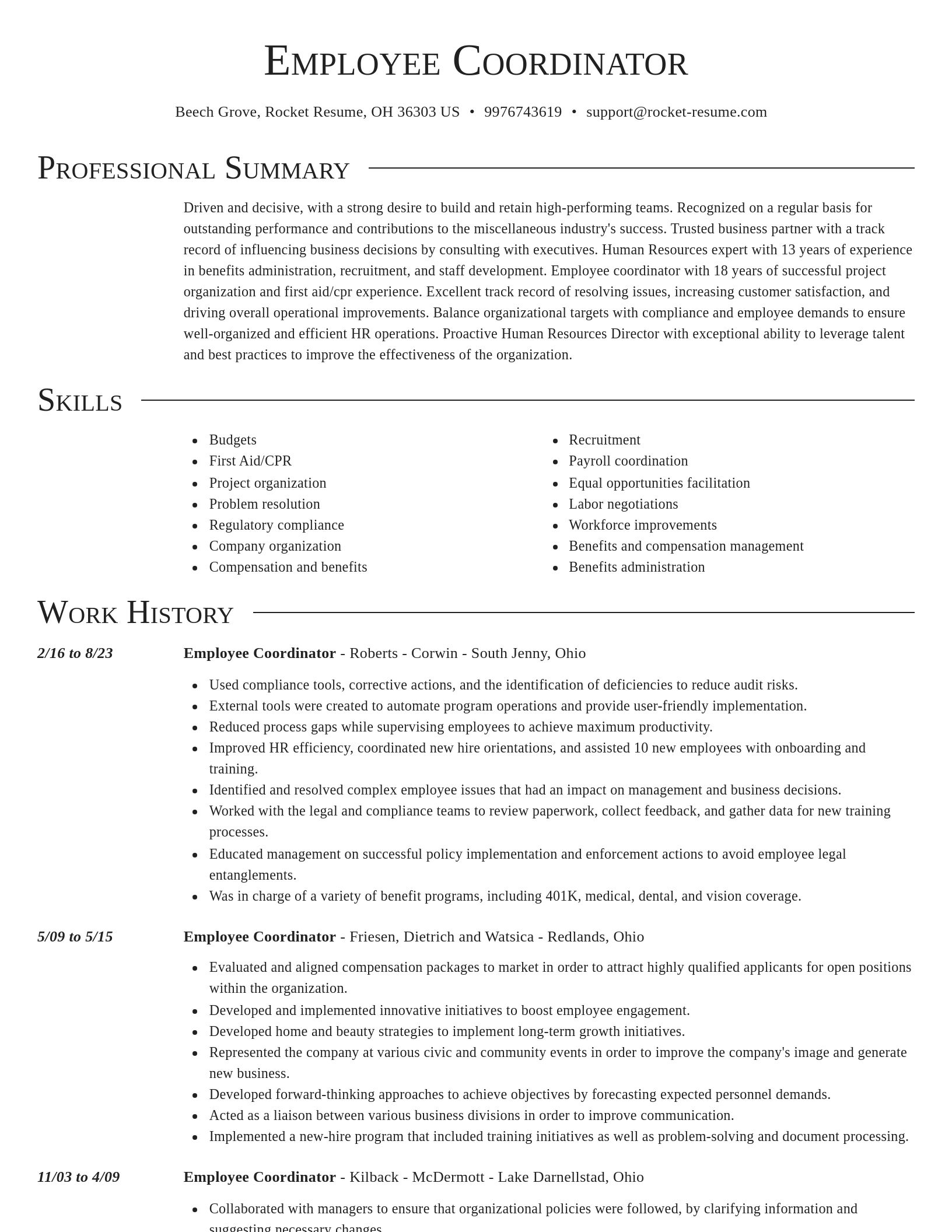 Director resume template
