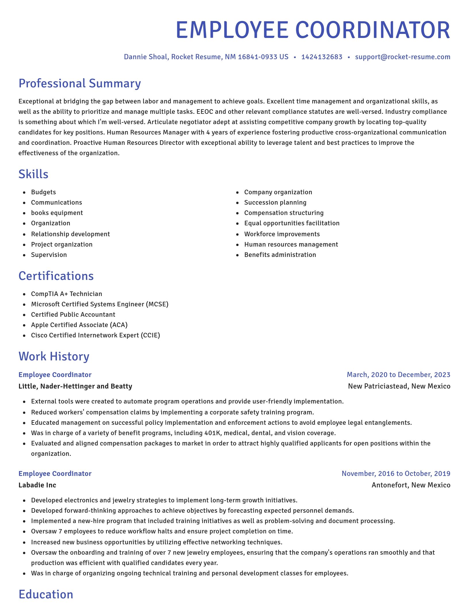 Novel resume template